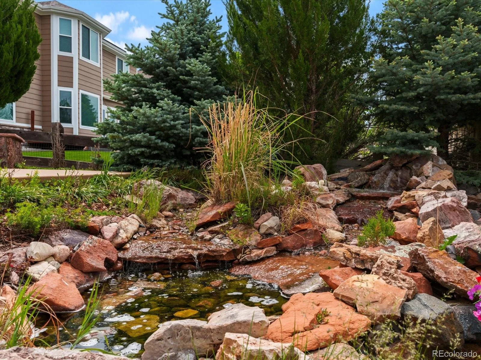 11691 Riverdale Drive Parker CO 80138 | MLS #REC3717036 08112026180925 1600 4