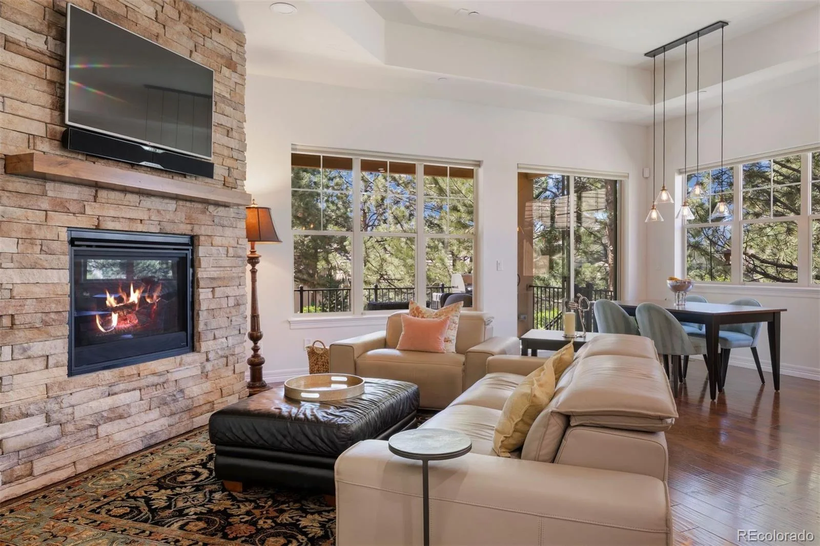 5043 Vermillion Drive Castle Rock CO 80108 MLS #REC3724363 07012026222824 1600 1