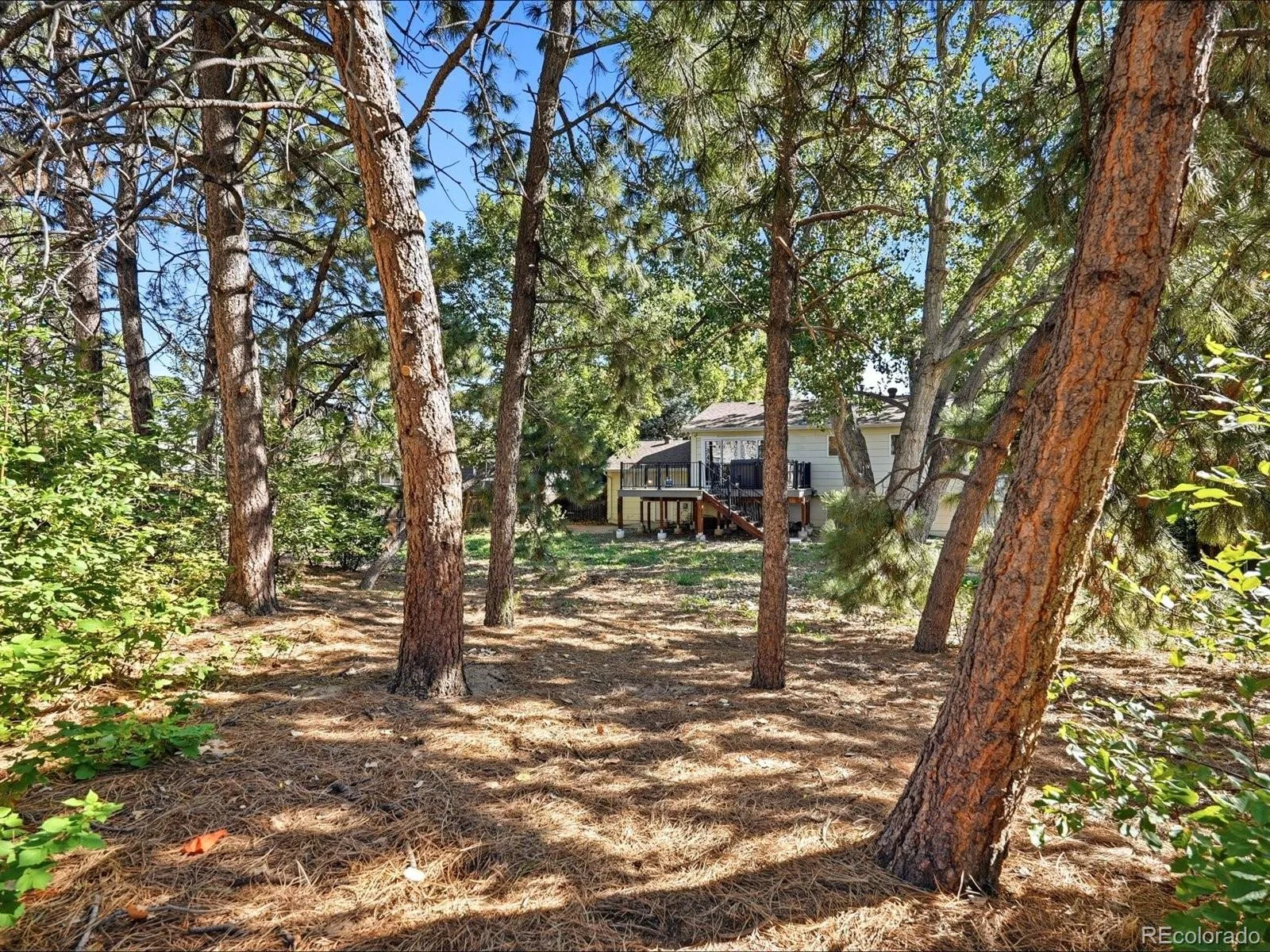 2127 S Ivory Street Aurora CO 80013 | MLS #REC3731287 09232026082310 1600 29