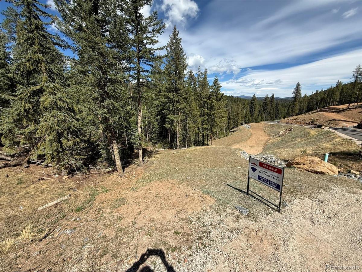 6845 Lynx Lair Road Evergreen CO 80439 | MLS #REC3734665 MLS #REC3734665 image #0