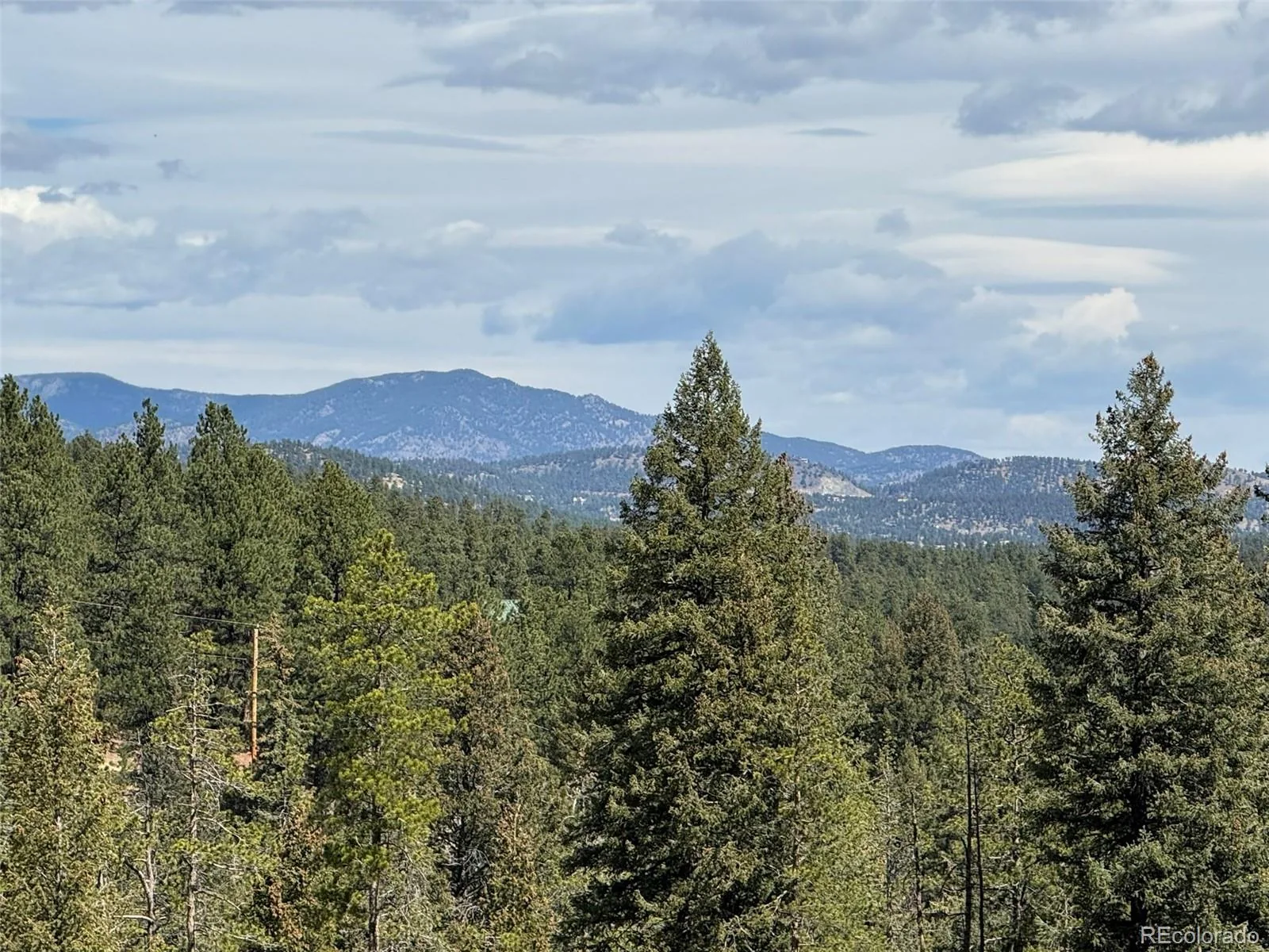 6845 Lynx Lair Road Evergreen CO 80439 | MLS #REC3734665 08042026200847 1600 1