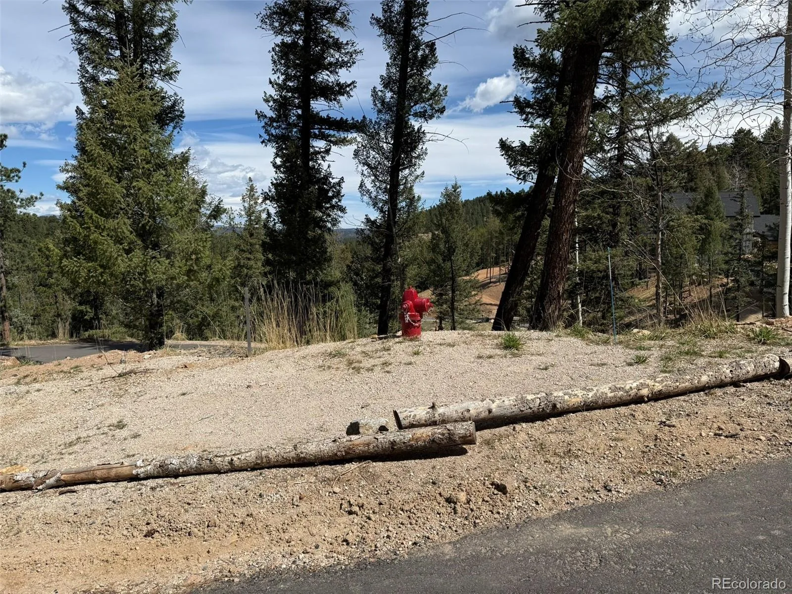 6845 Lynx Lair Road Evergreen CO 80439 | MLS #REC3734665 08042026200847 1600 10