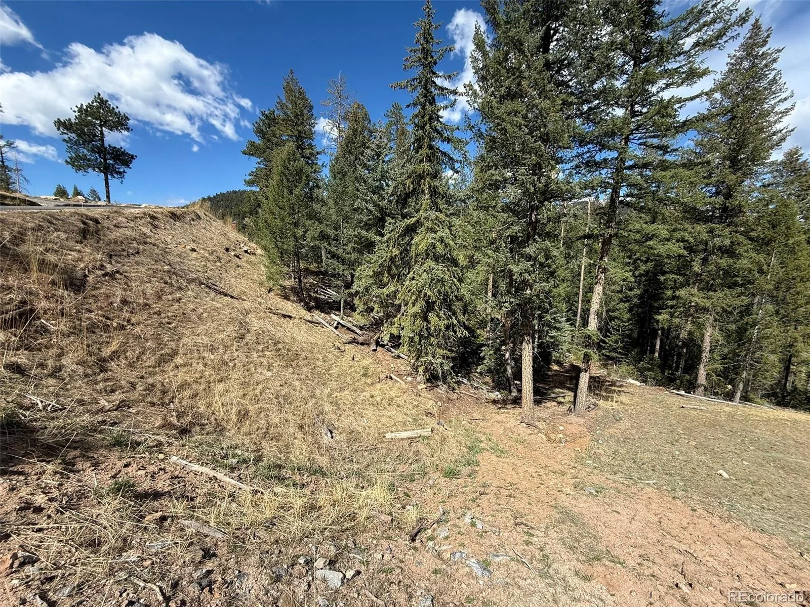 6845 Lynx Lair Road Evergreen CO 80439 | MLS #REC3734665 08042026200847 1600 3
