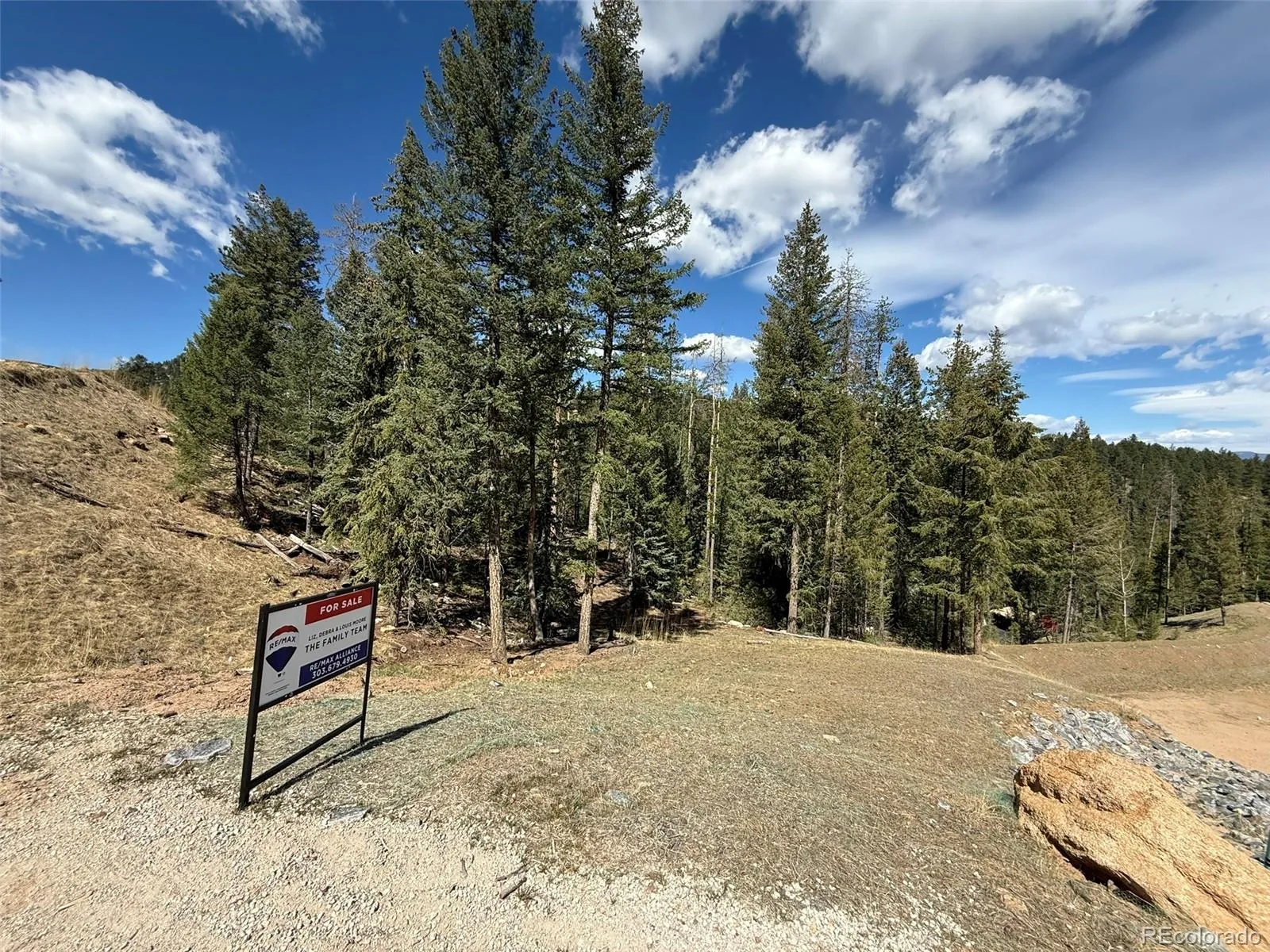 6845 Lynx Lair Road Evergreen CO 80439 | MLS #REC3734665 08042026200847 1600 4