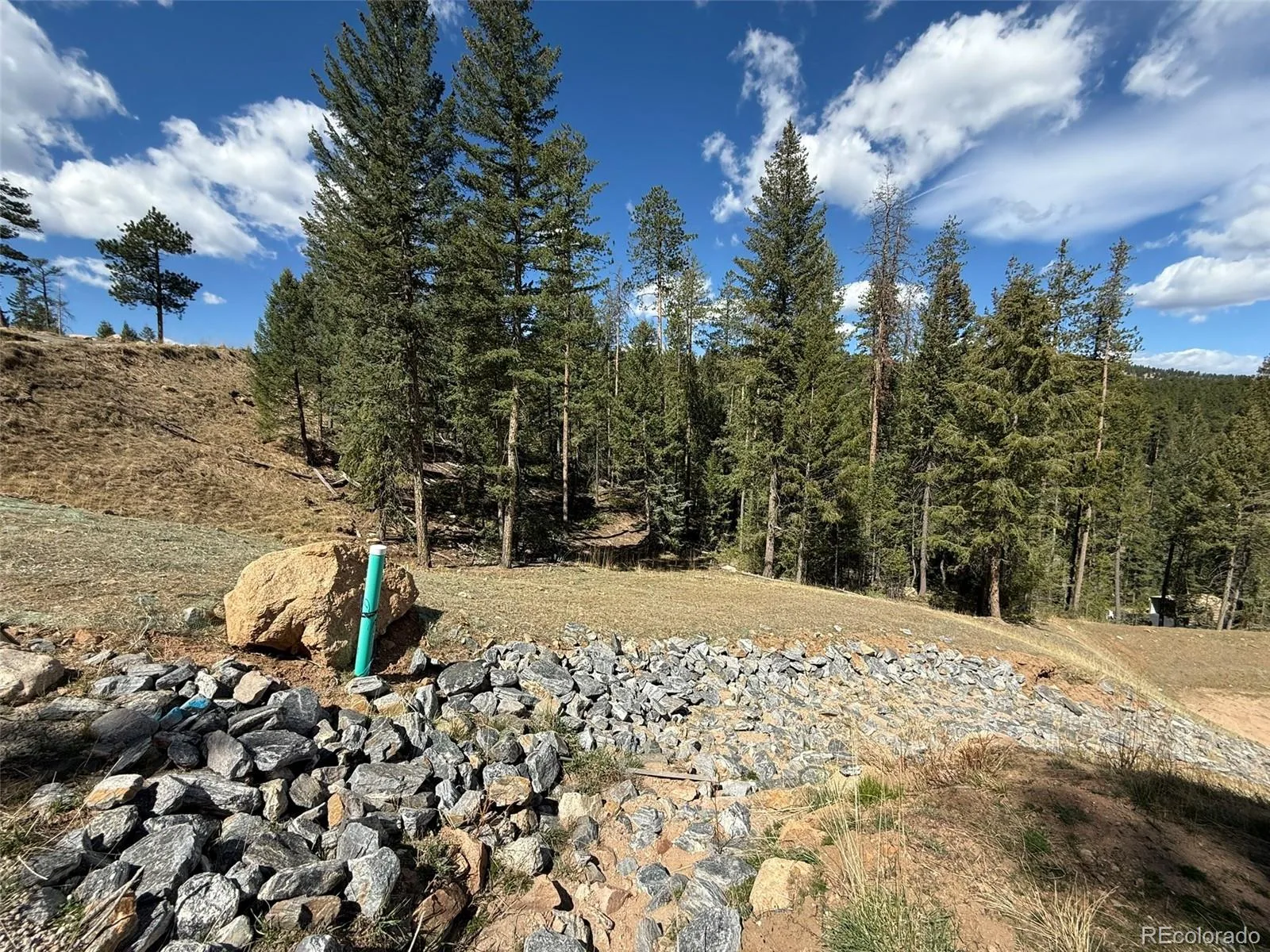 6845 Lynx Lair Road Evergreen CO 80439 | MLS #REC3734665 08042026200847 1600 5