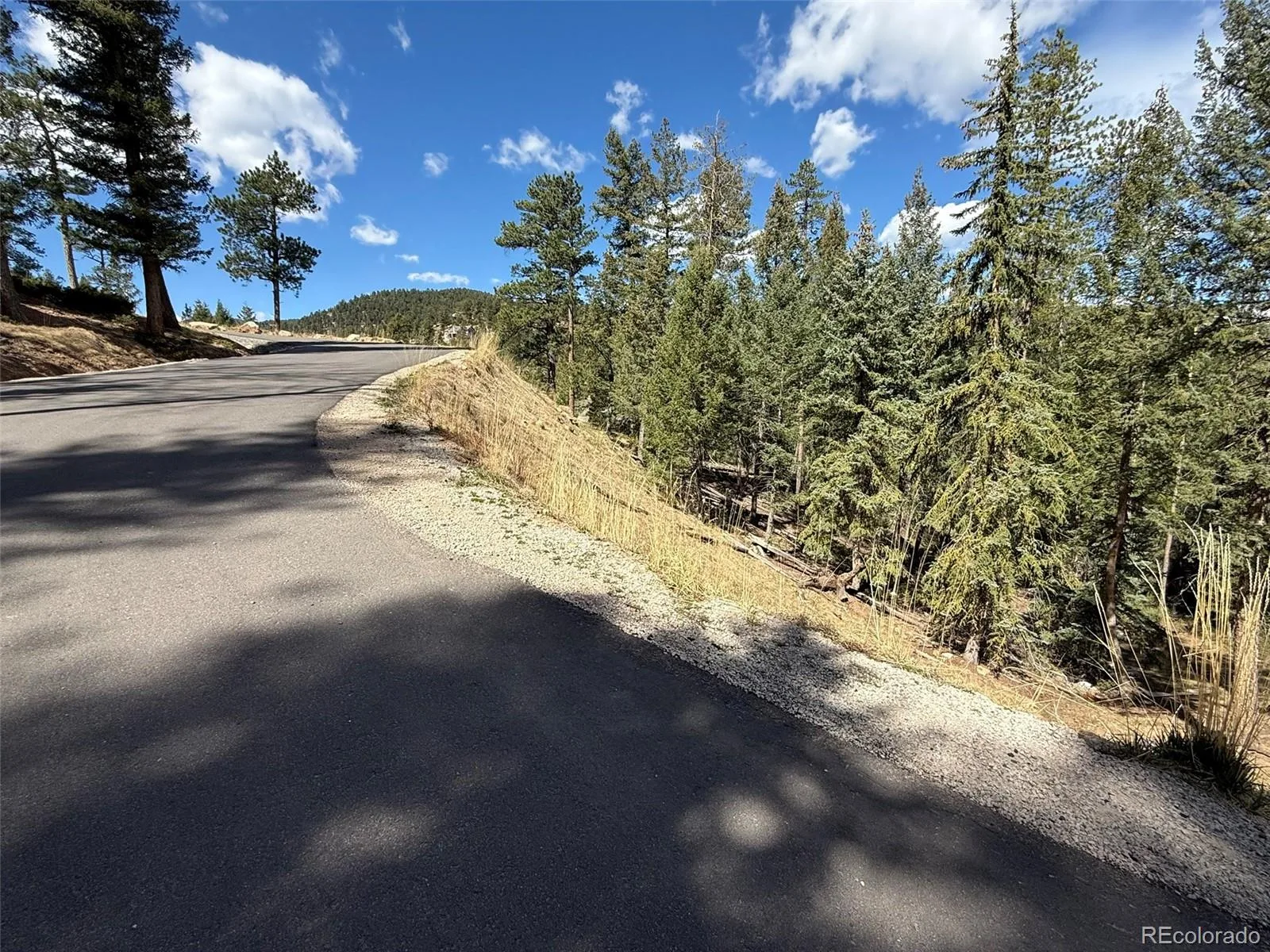 6845 Lynx Lair Road Evergreen CO 80439 | MLS #REC3734665 08042026200847 1600 8