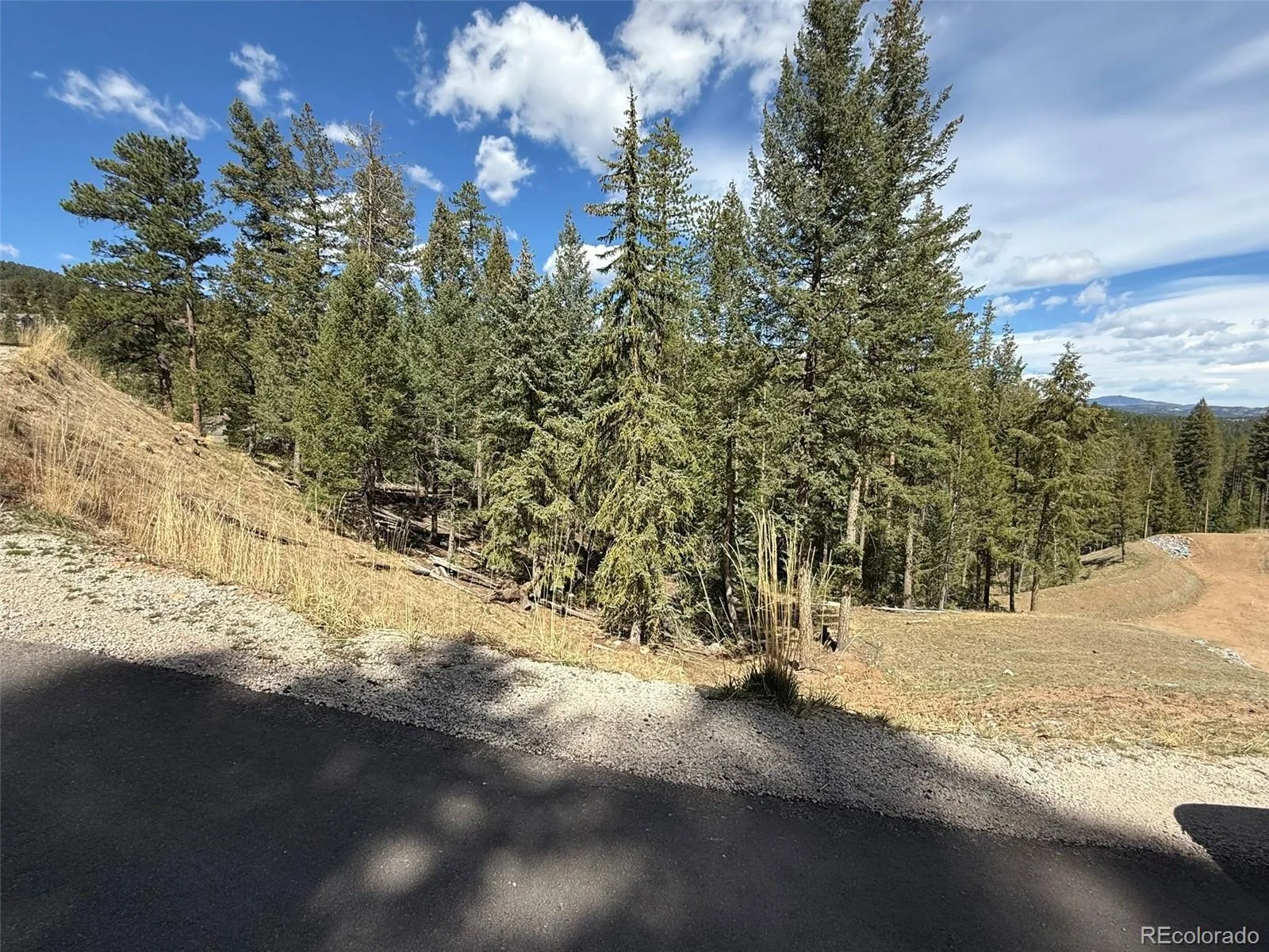 6845 Lynx Lair Road Evergreen CO 80439 | MLS #REC3734665 08042026200847 1600 9