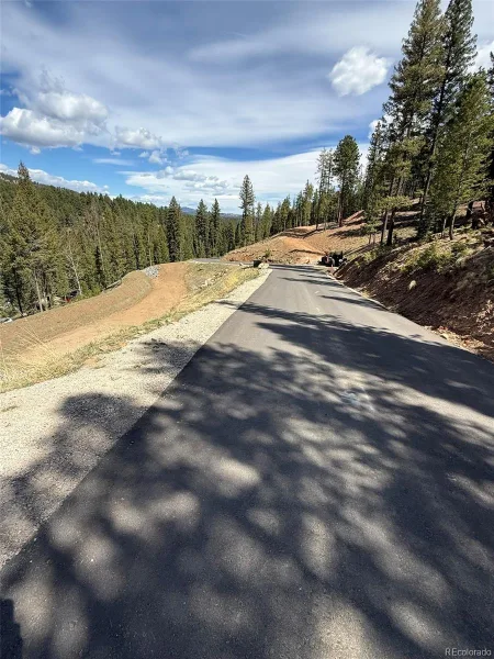 6845 Lynx Lair Road Evergreen CO 80439 | MLS #REC3734665 08042026200847 800 7