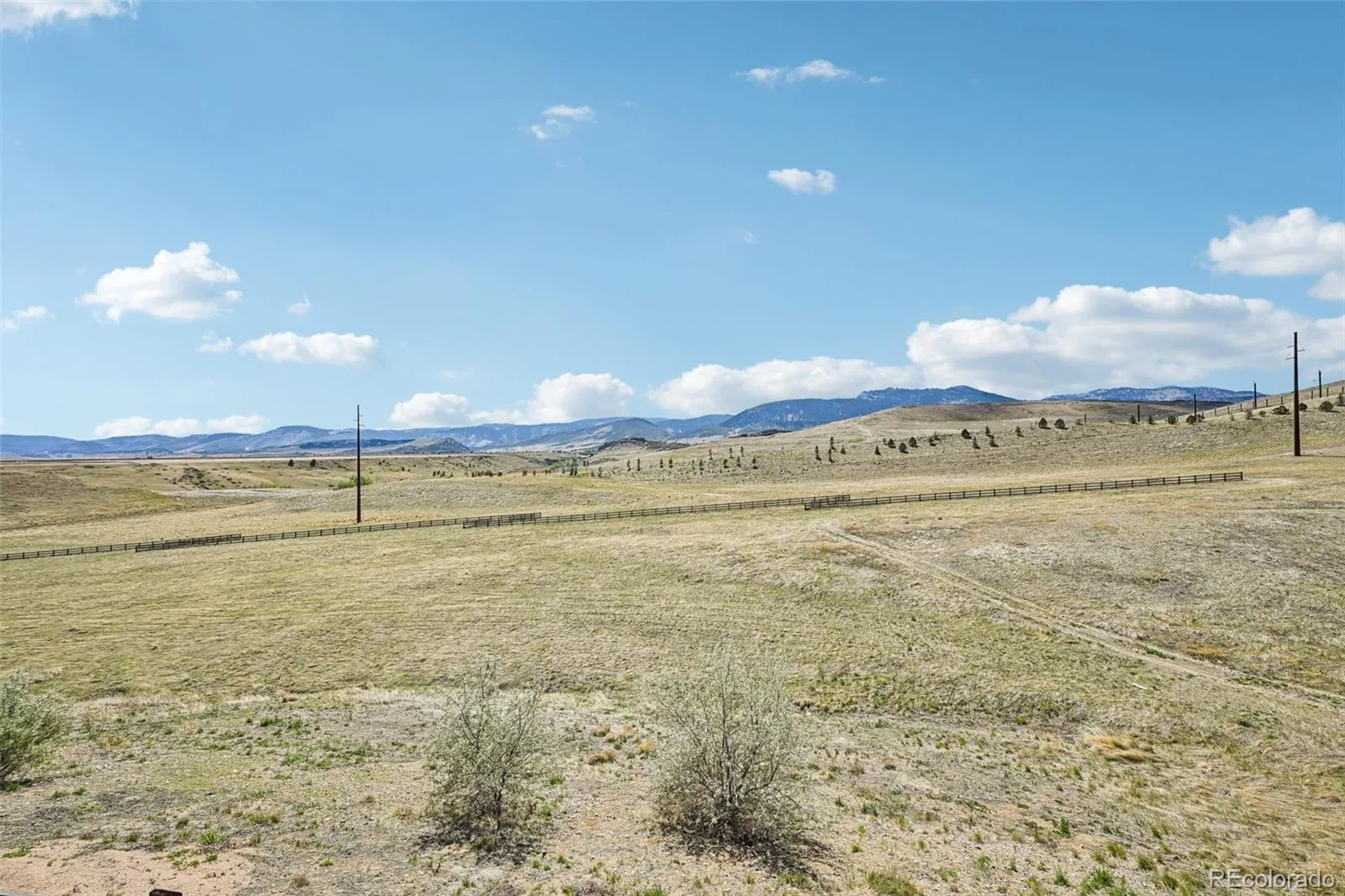 8549 Eldora Way Arvada CO 80007 MLS #REC3741175 06142026203716 1600 34