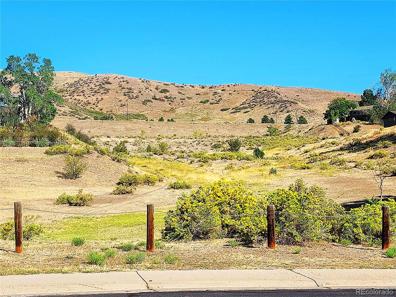 1681 S Arbutus Place Lakewood CO 80228 | MLS #REC3741602 08292026013623 1600 1