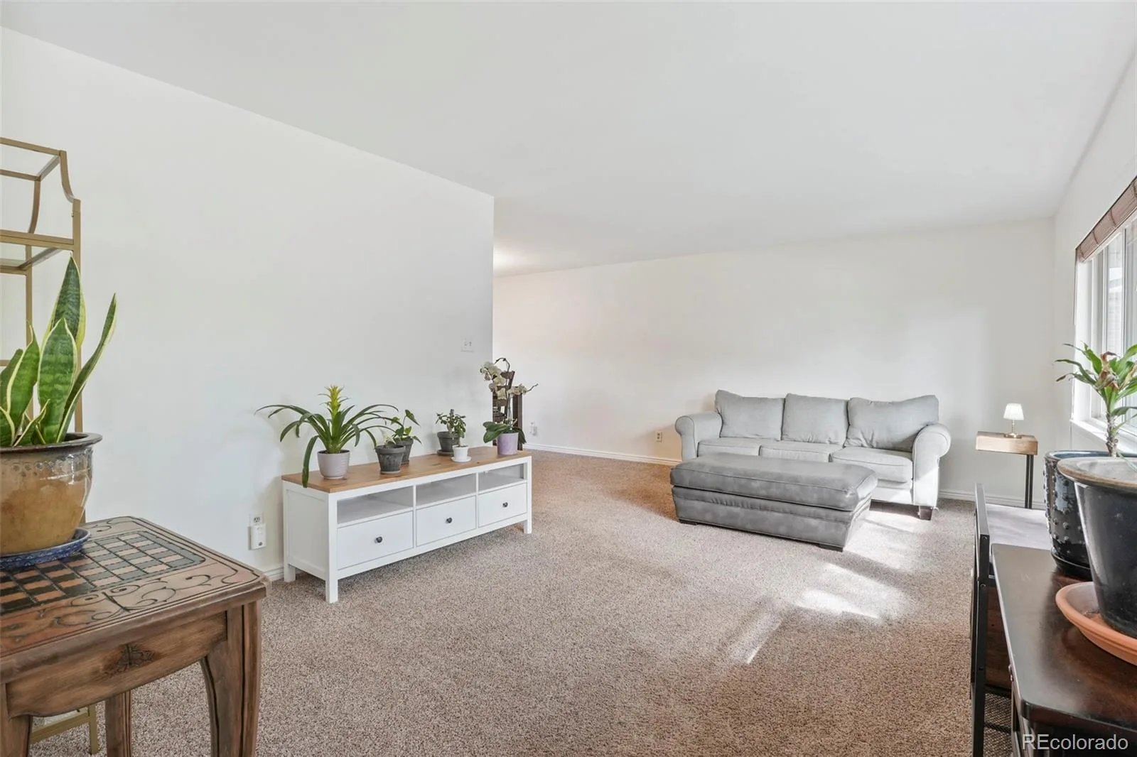 1681 S Arbutus Place Lakewood CO 80228 | MLS #REC3741602 08292026013623 1600 9
