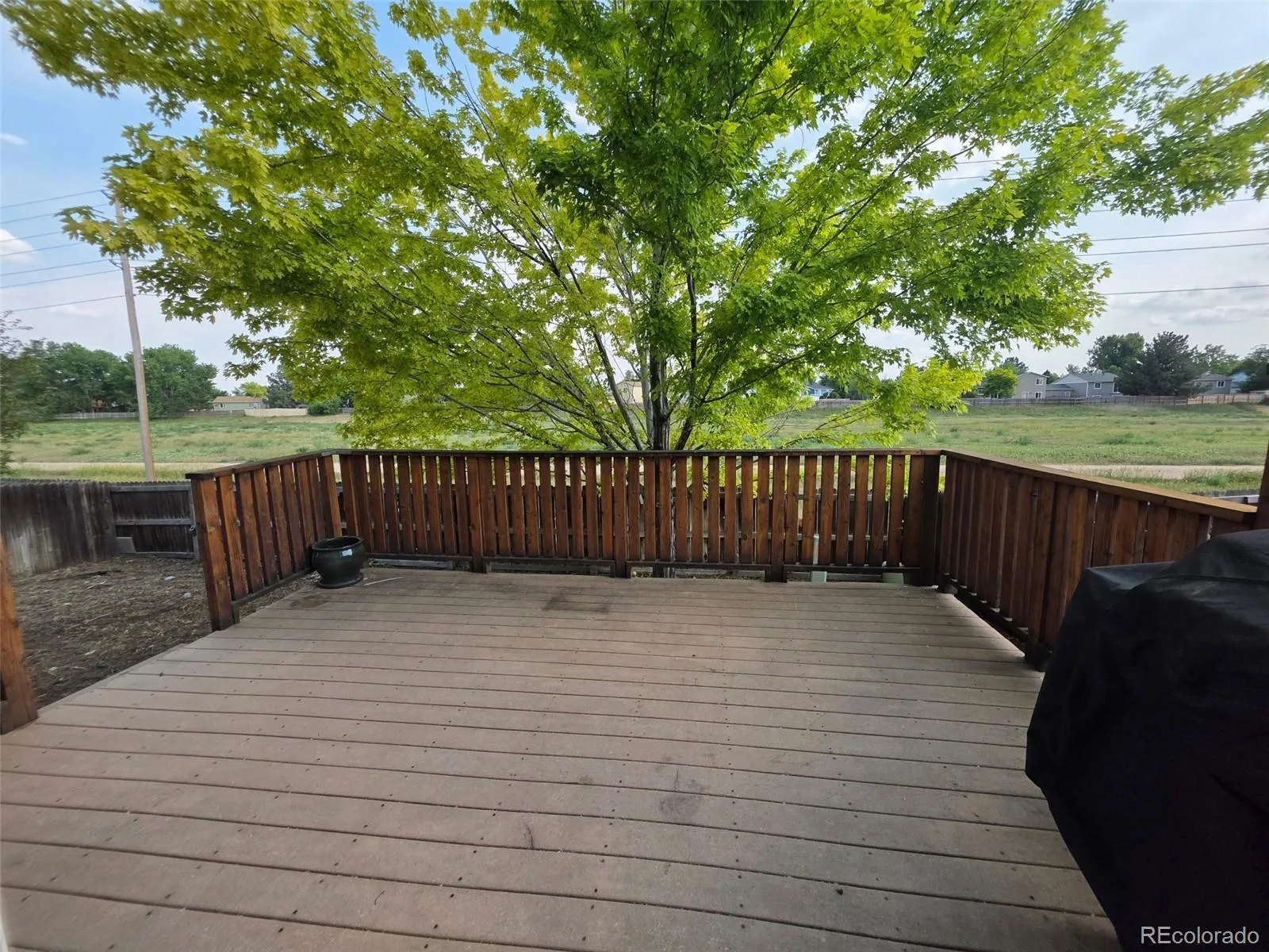 16556 E Phillips Lane Englewood CO 80112 | MLS #REC3753851 06242026222718 1600 2