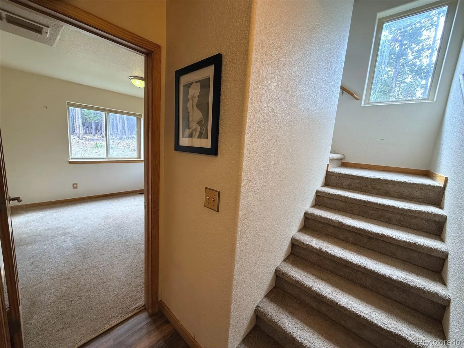 227 Ouray Road Evergreen CO 80439 | MLS #REC3755177 08182026114341 1600 16