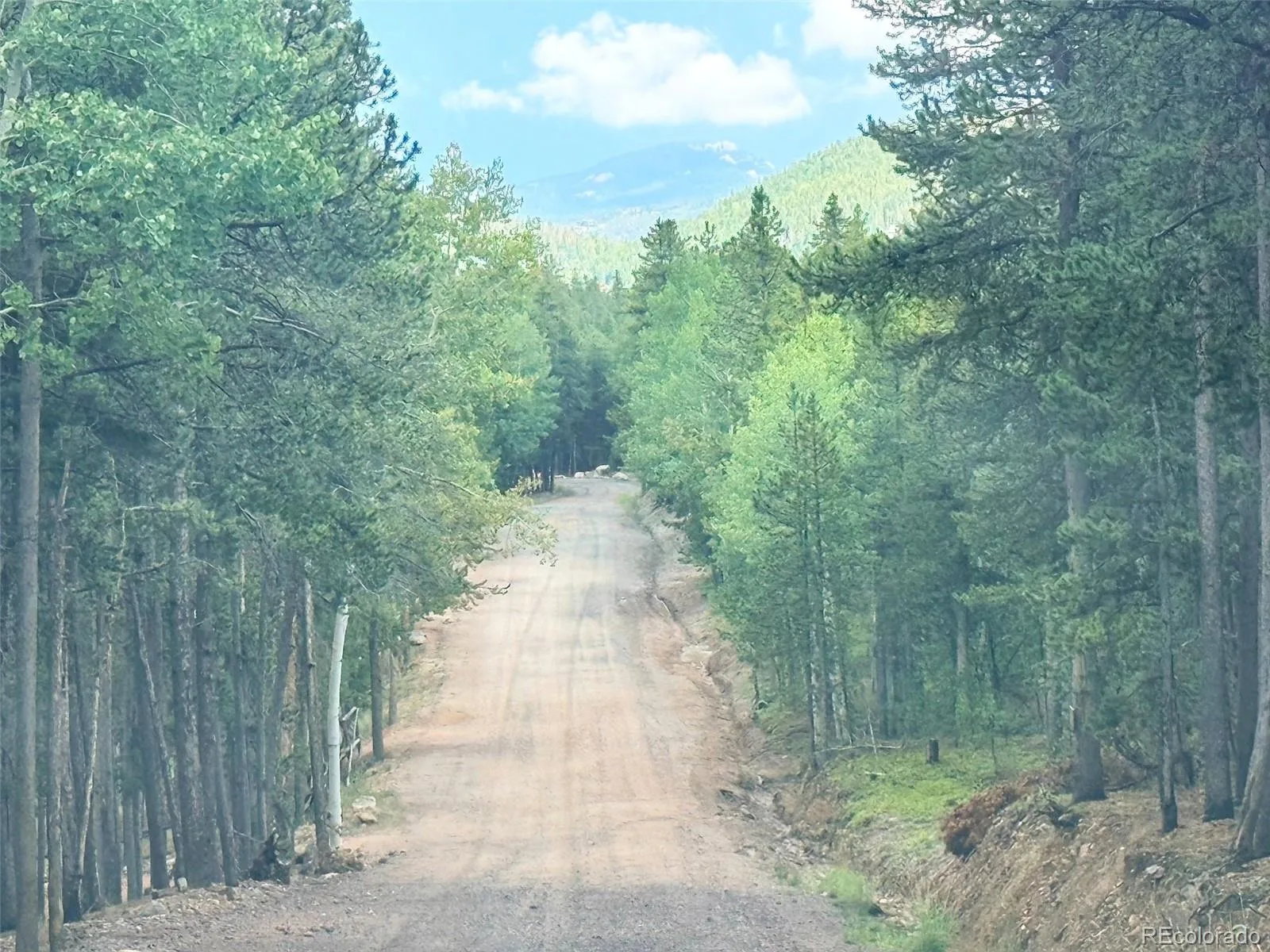 227 Ouray Road Evergreen CO 80439 | MLS #REC3755177 08182026114341 1600 34