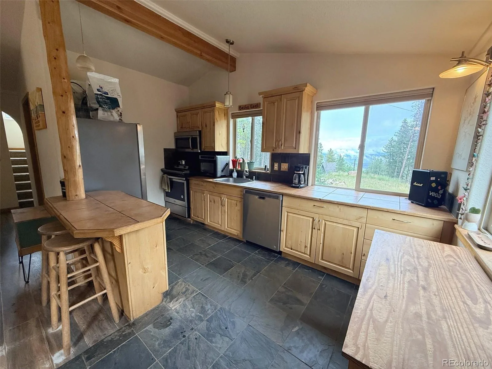 227 Ouray Road Evergreen CO 80439 | MLS #REC3755177 08182026114341 1600 7