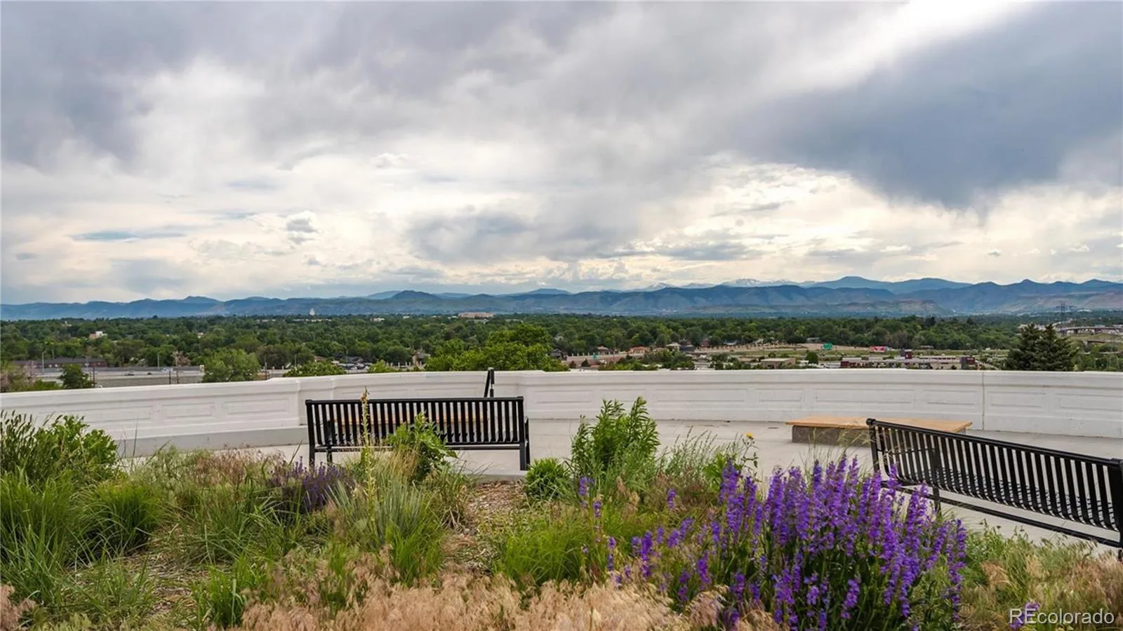 4975 Fenton Street Denver CO 80212 MLS #REC3757428 06092026012054 1600 38