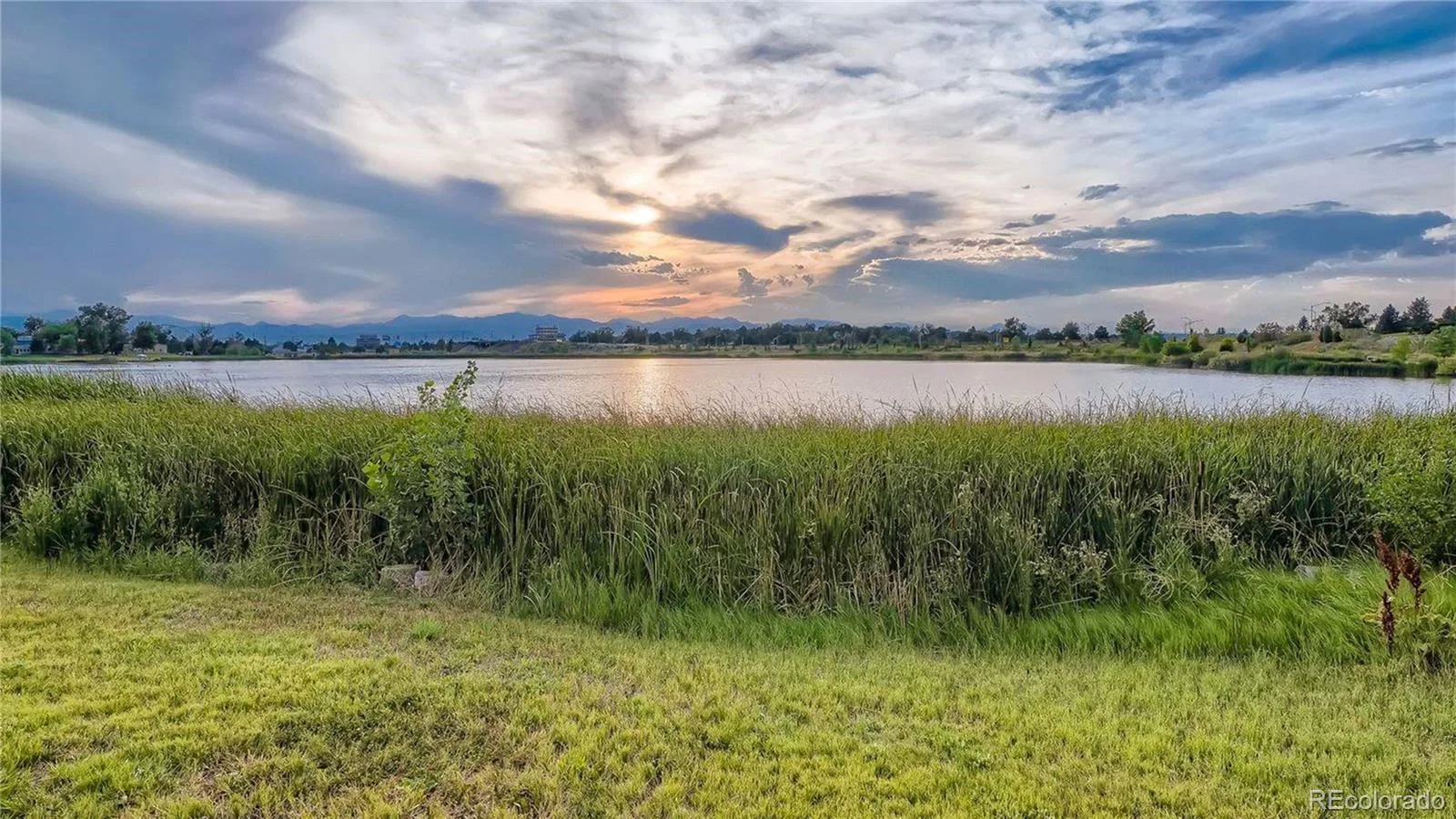 4975 Fenton Street Denver CO 80212 MLS #REC3757428 06092026012054 1600 41