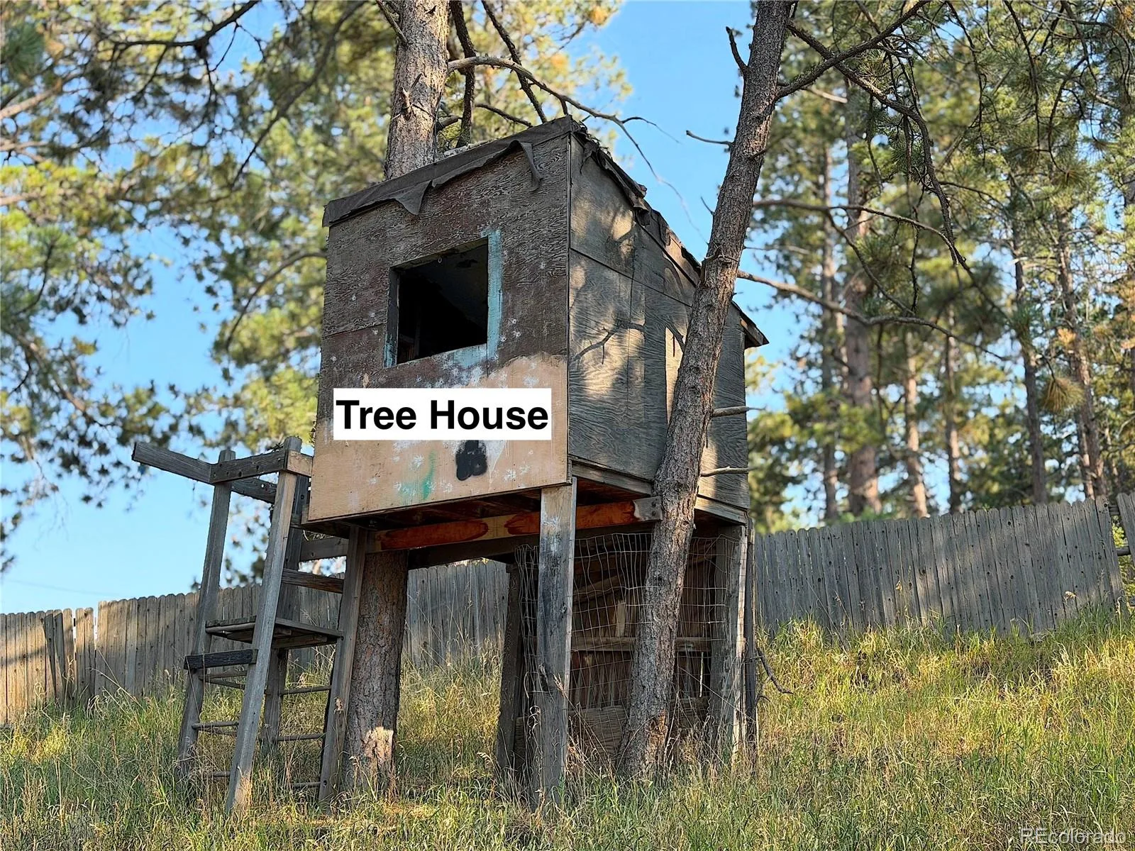 25 Pine Road Golden CO 80401 | MLS #REC3770592 08062026233958 1600 37