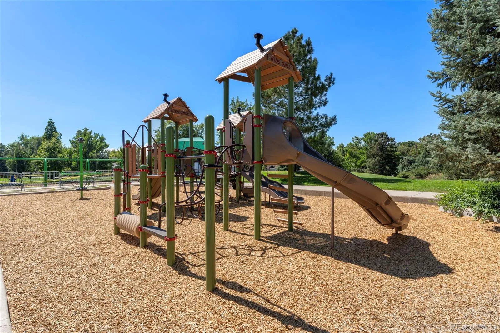 1421 Glencoe Street Denver CO 80220 MLS #REC3772640 06122026072820 1600 24