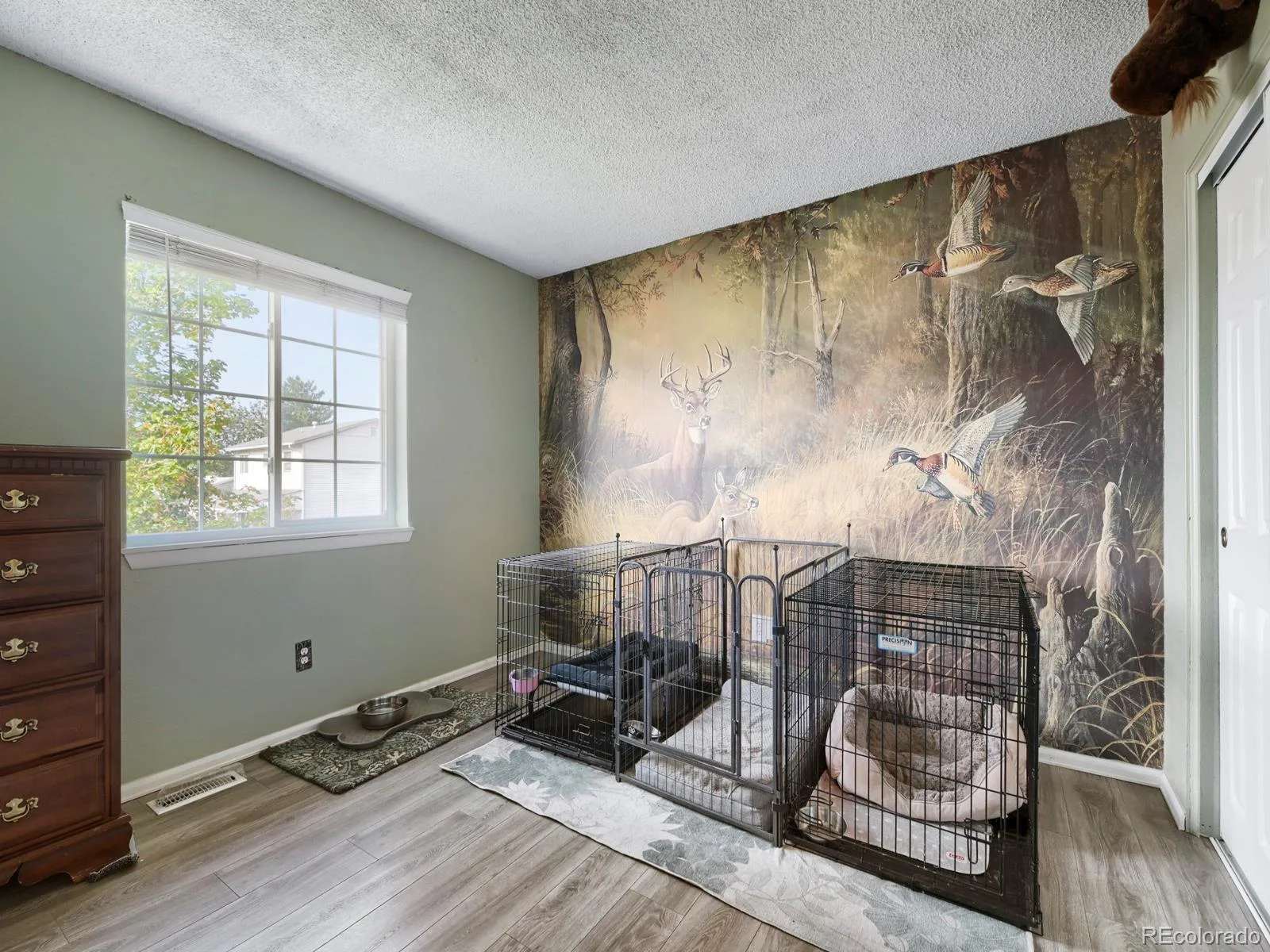 13428 Alcott Circle Broomfield CO 80020 | MLS #REC3781026 08082026154620 1600 18