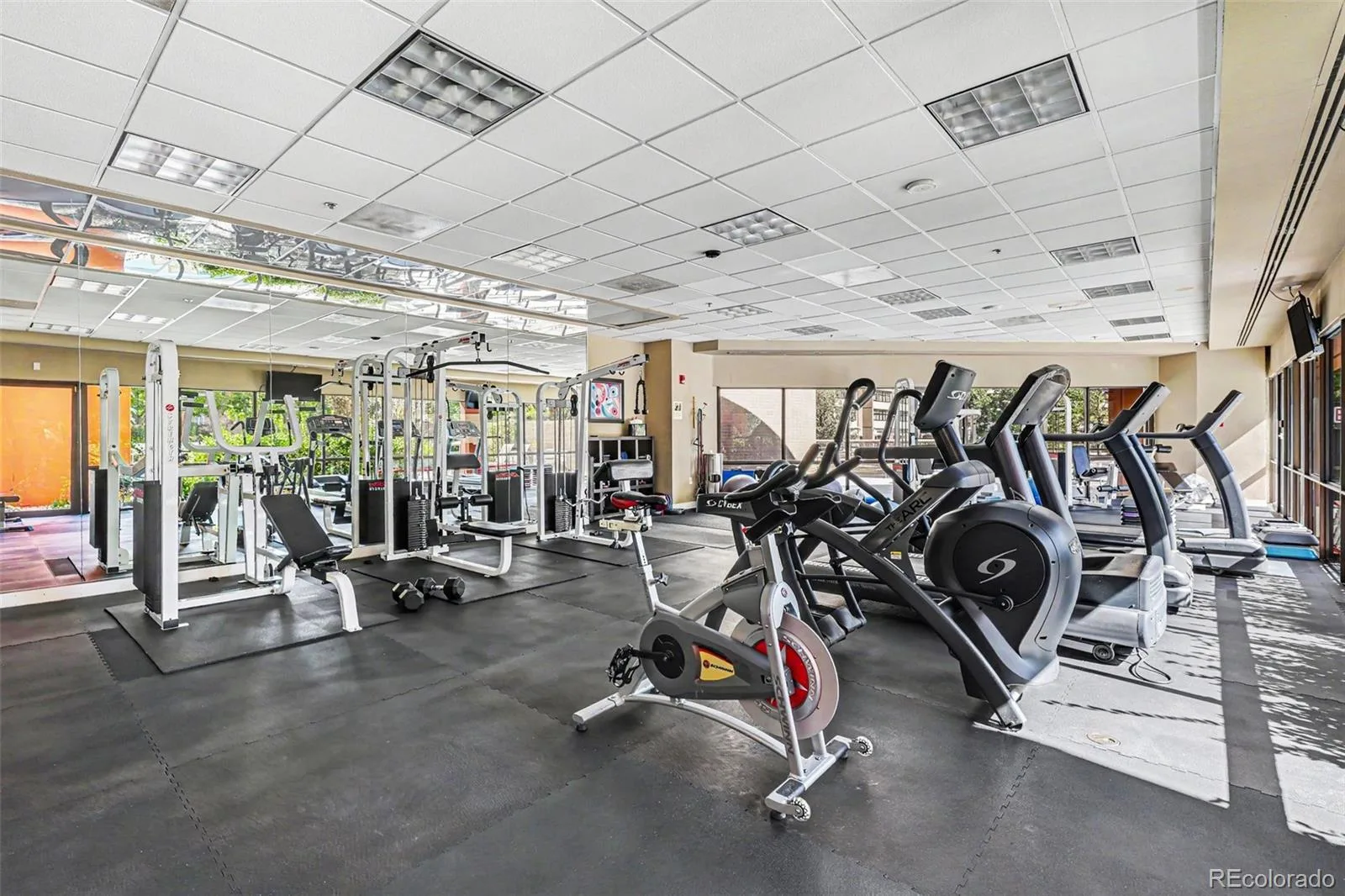 100 Park Avenue #2106 Denver CO 80205 | MLS #REC3799767 10122026233218 1600 15