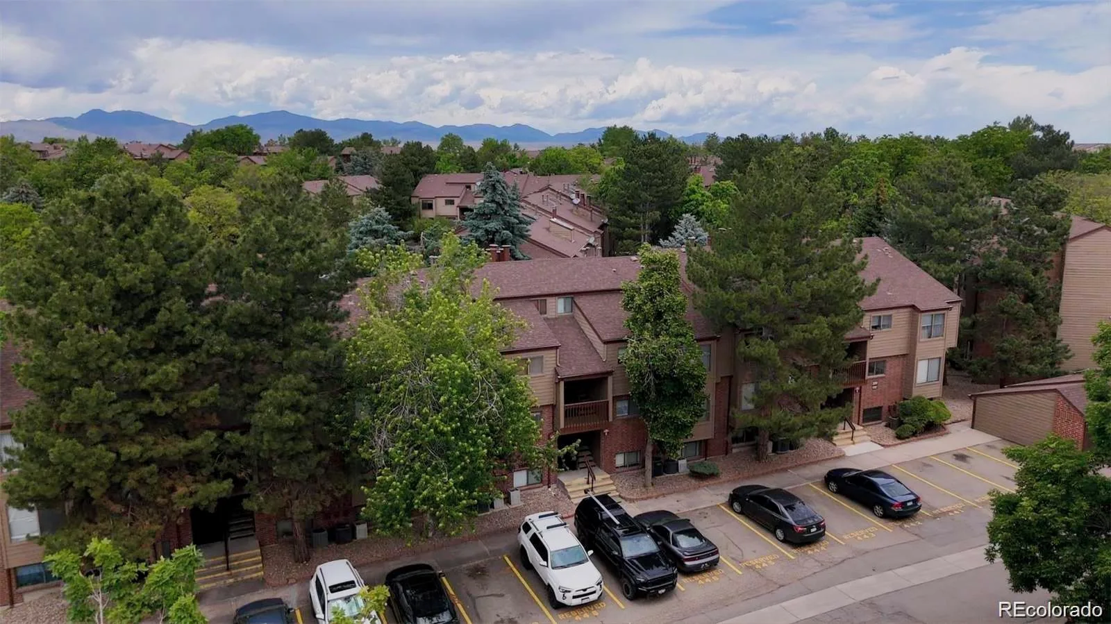 220 Wright Street #103 Lakewood CO 80228 | MLS #REC3812179 08132026185321 1600 2