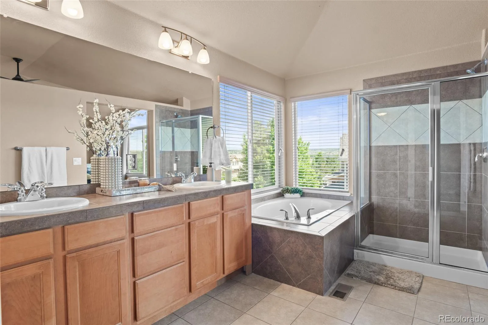 17888 Coral Burst Street Parker CO 80134 MLS #REC3812779 06152026195011 1600 19