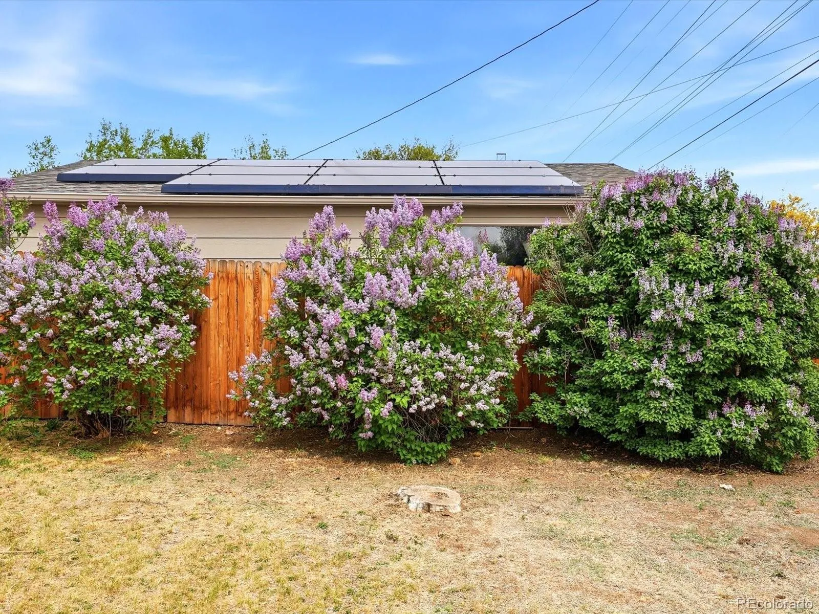 04152026172350 1600 41