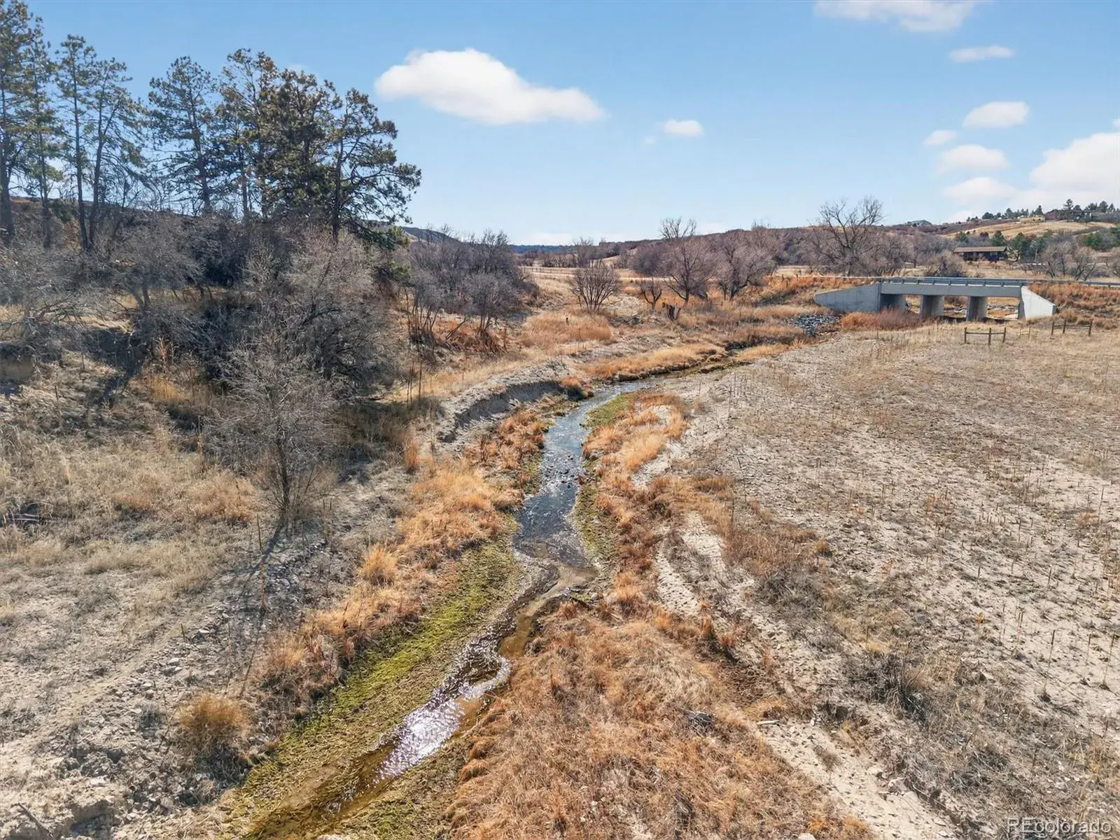 567 Lake Gulch Road Castle Rock CO 80104 | MLS #REC3823010 02262026193938 1600 35
