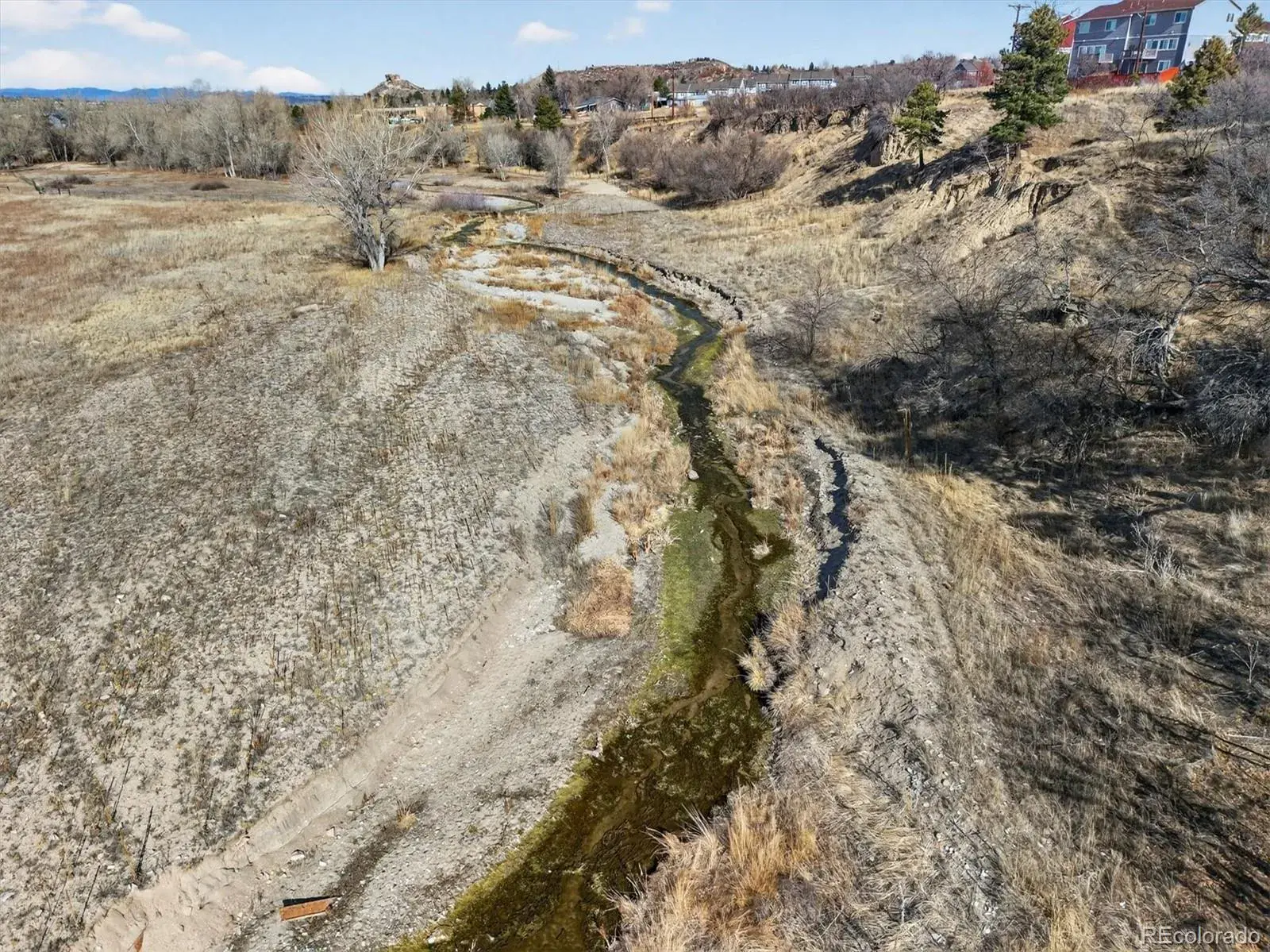 567 Lake Gulch Road Castle Rock CO 80104 | MLS #REC3823010 02262026193938 1600 37