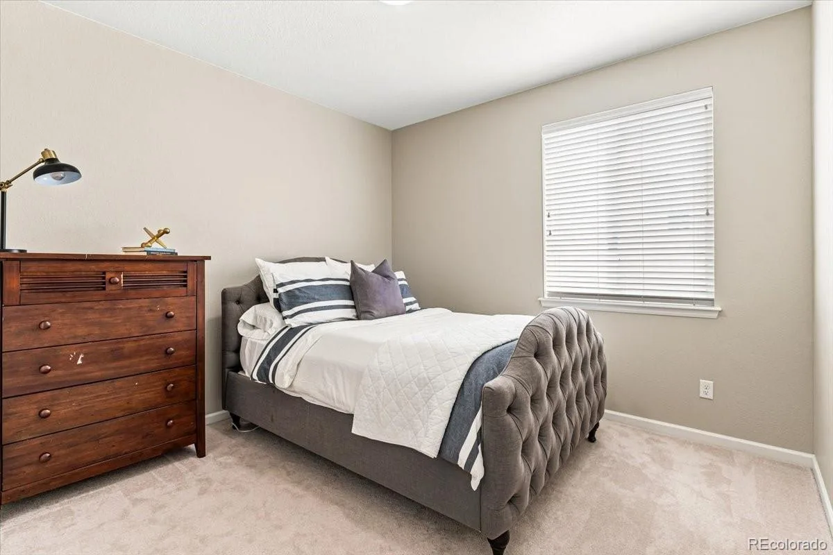 10537 Oncilla Lane Lone Tree CO 80124 | MLS #REC3826039 08122026215958 1200 19