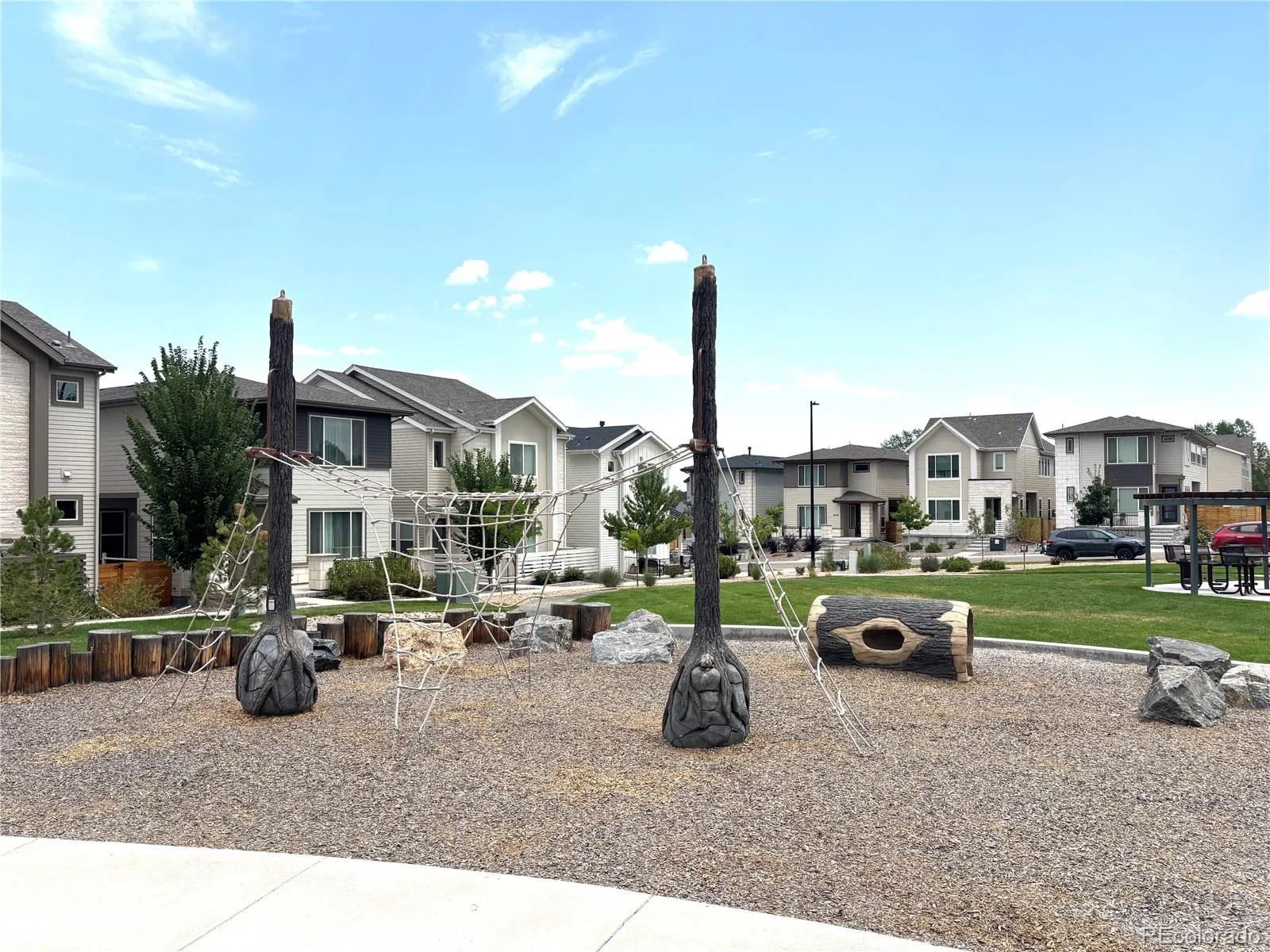 10537 Oncilla Lane Lone Tree CO 80124 | MLS #REC3826039 08122026215958 1600 29