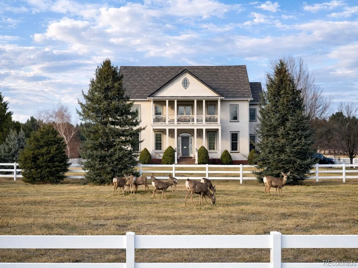 458 Grey Squirrel Way Franktown CO 80116 | MLS #REC3827951 08222026165544 1200 4