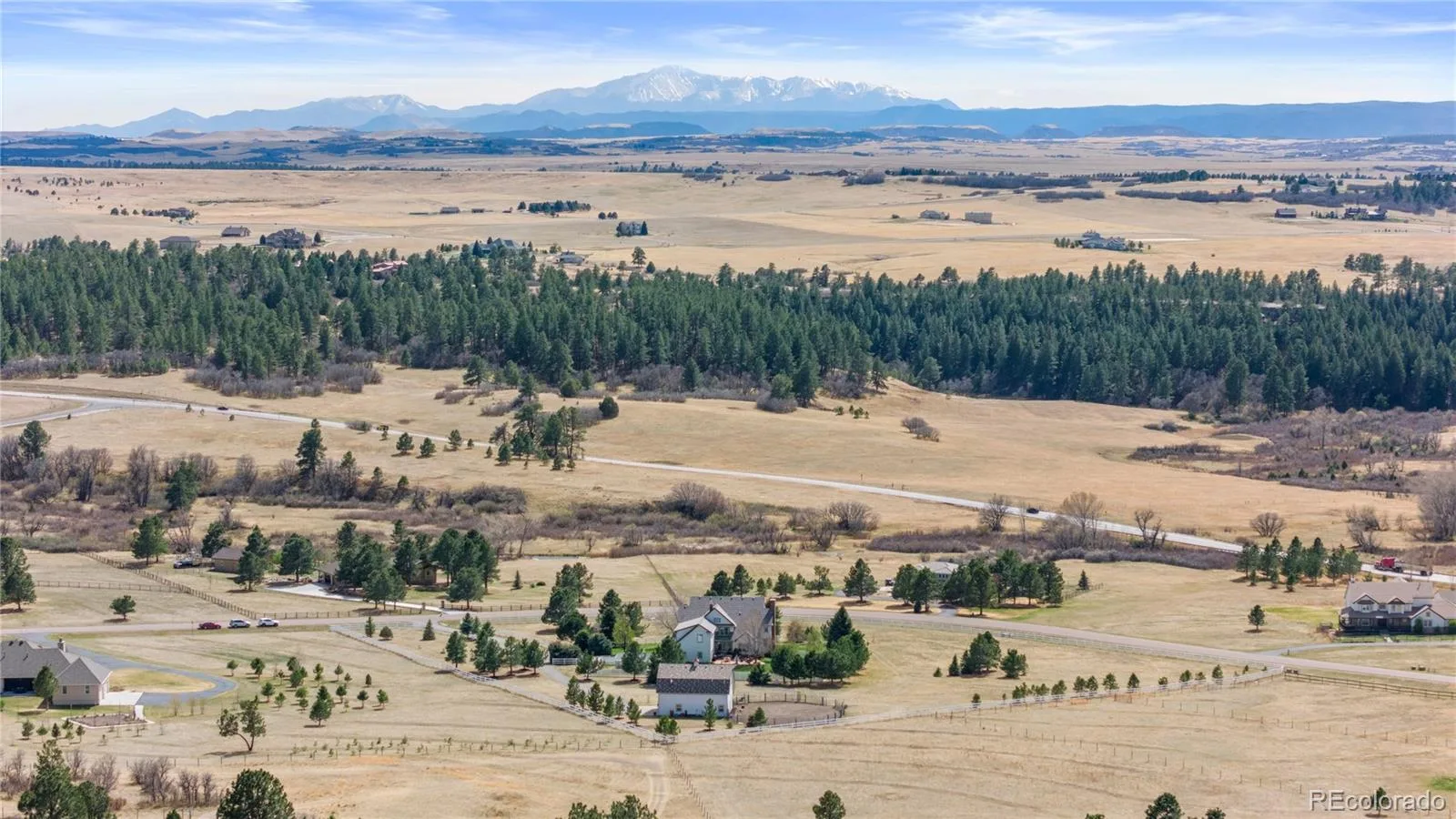 458 Grey Squirrel Way Franktown CO 80116 | MLS #REC3827951 08222026165544 1600 48