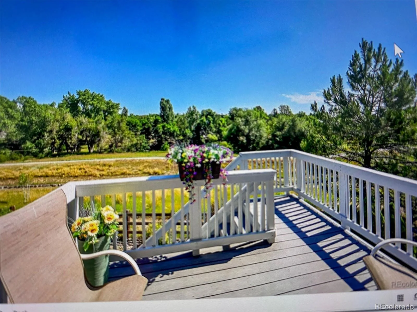 5309 W Hoover Drive Littleton CO 80123 | MLS #REC3828873 06032026183818 1600 24