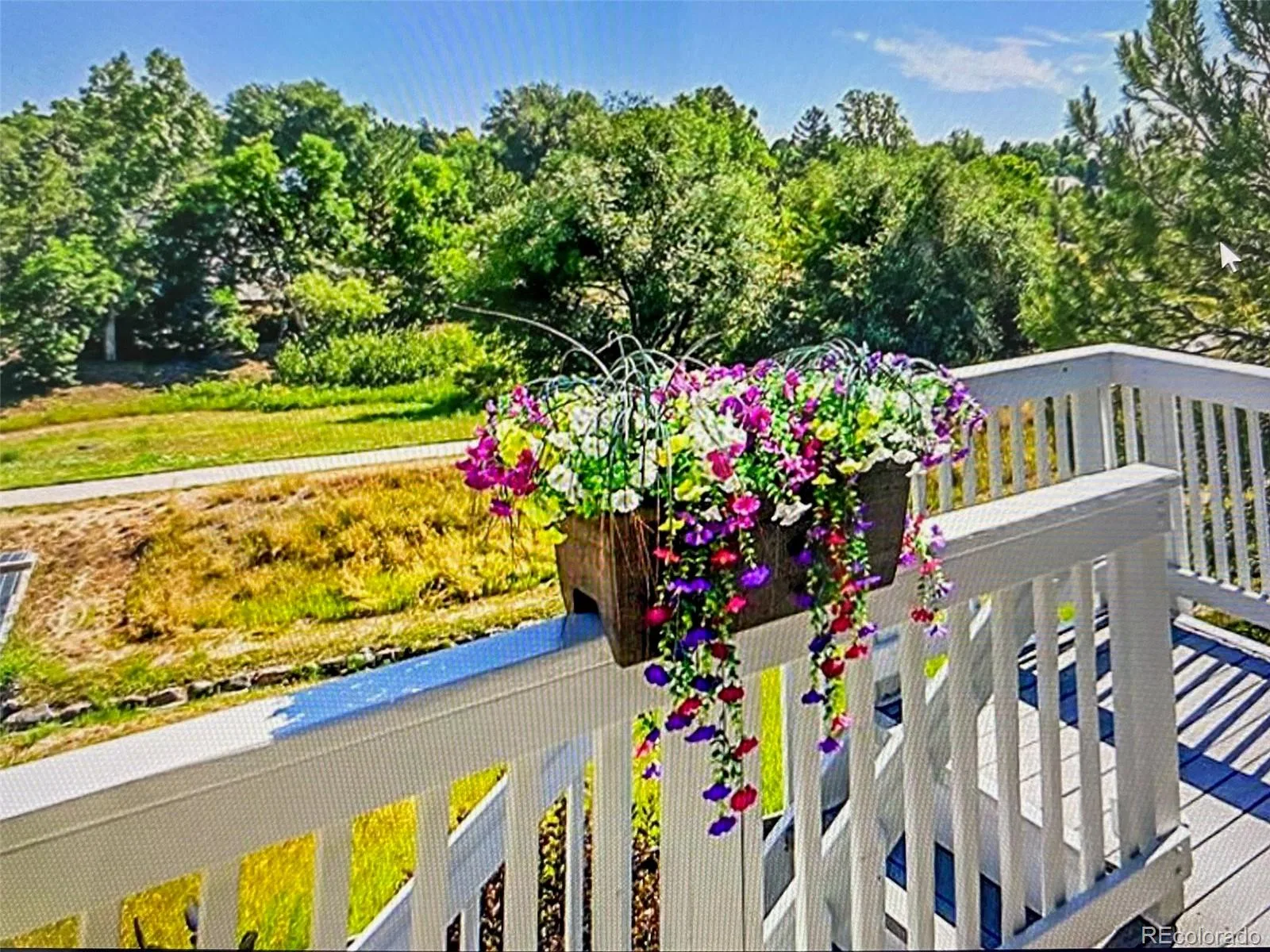 5309 W Hoover Drive Littleton CO 80123 | MLS #REC3828873 06032026183818 1600 25