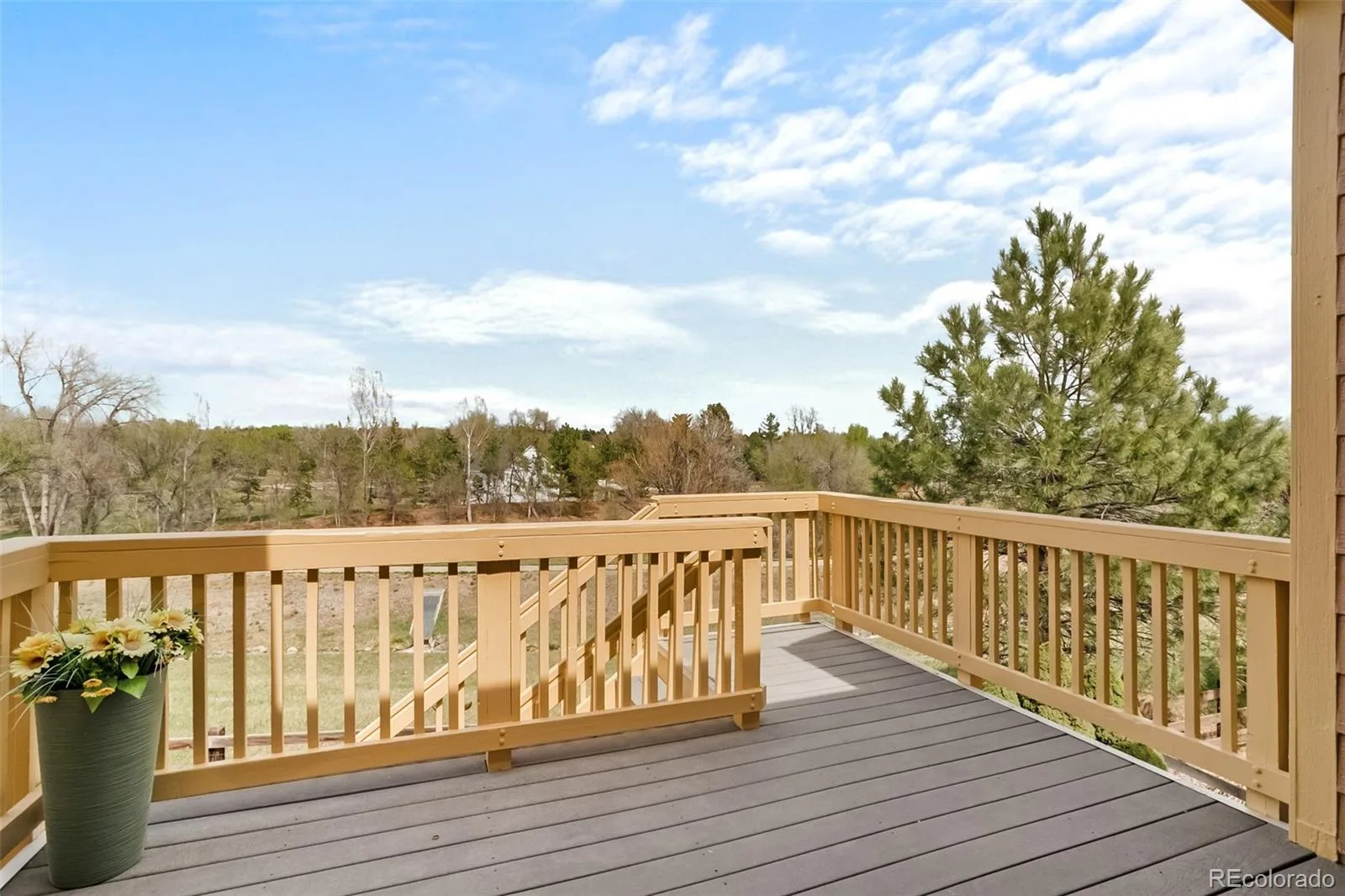 5309 W Hoover Drive Littleton CO 80123 | MLS #REC3828873 06032026183818 1600 3