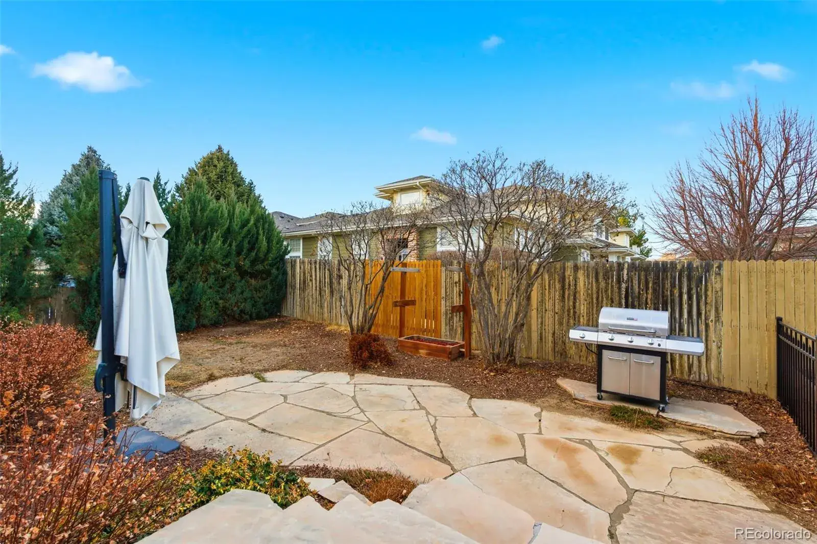 02152026193537 1600 29