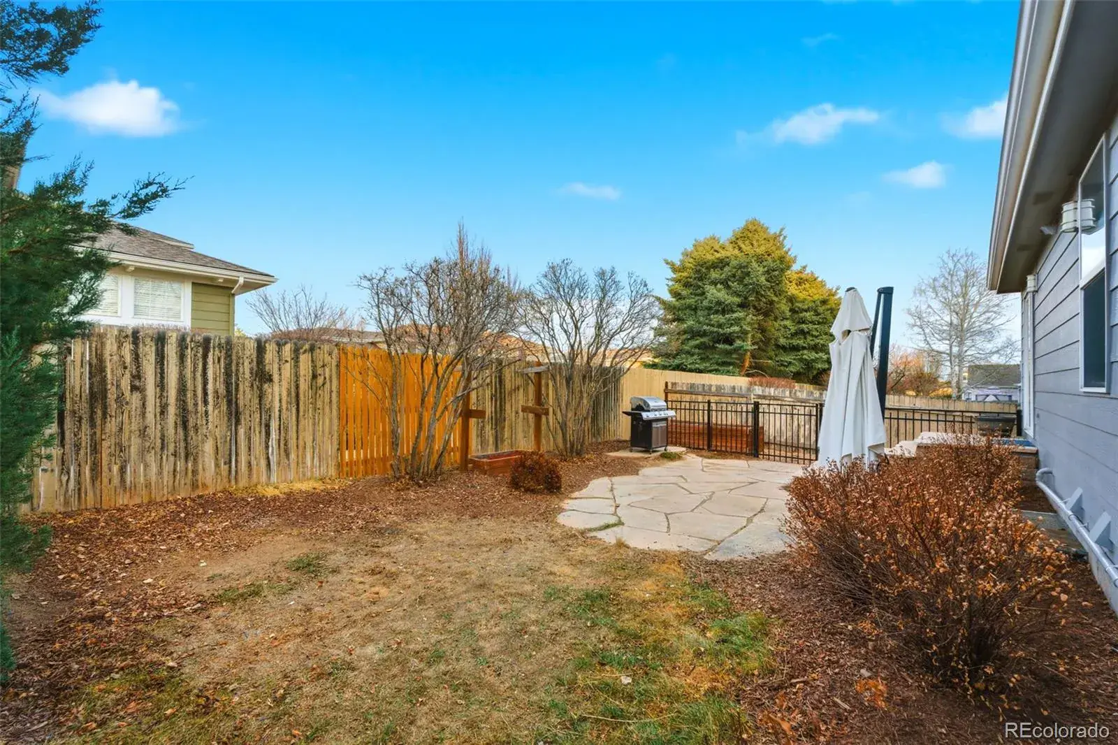 02152026193537 1600 31