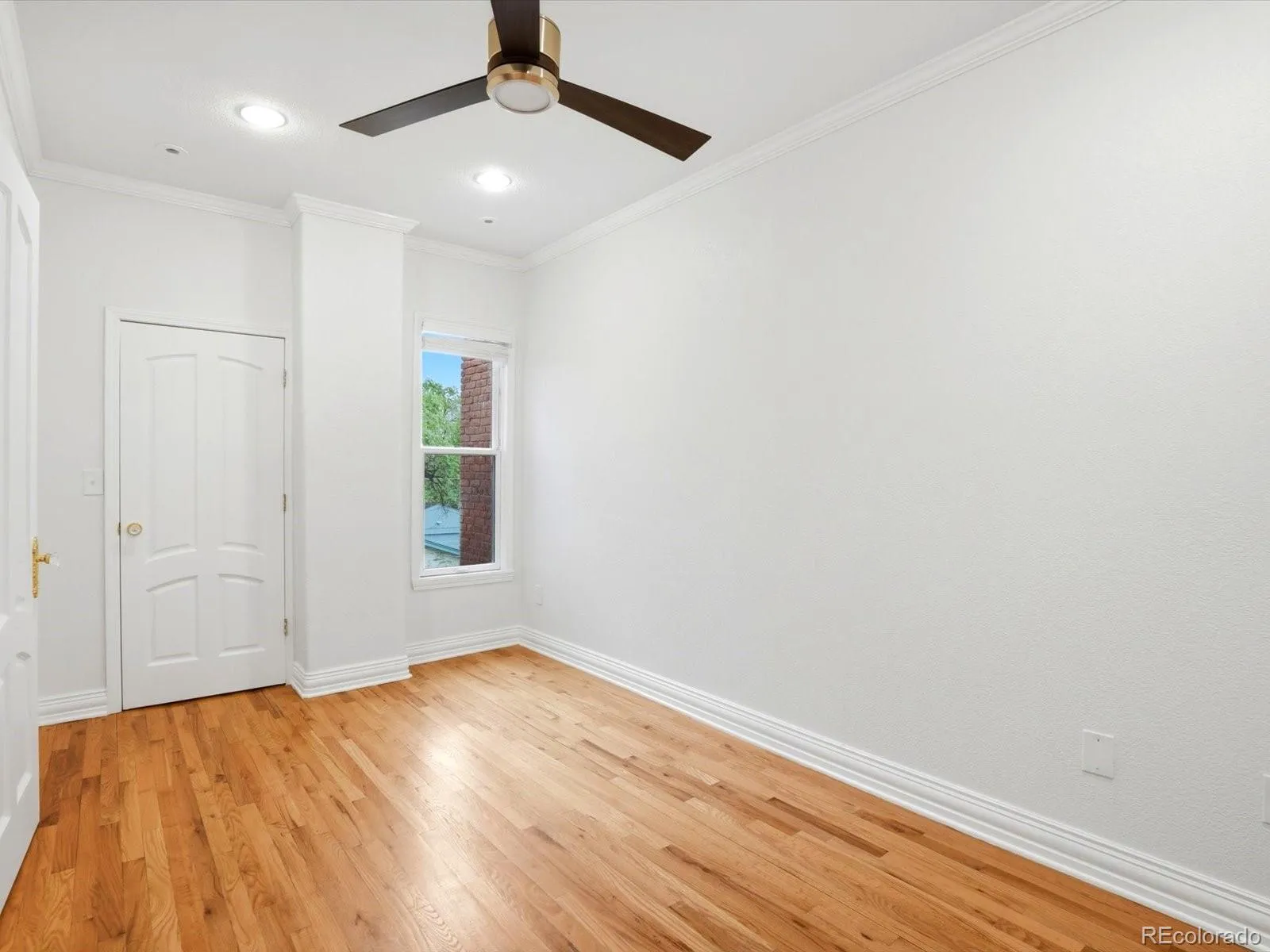 2440 Stout Street Denver CO 80205 MLS #REC3832341 05132026205425 1600 36