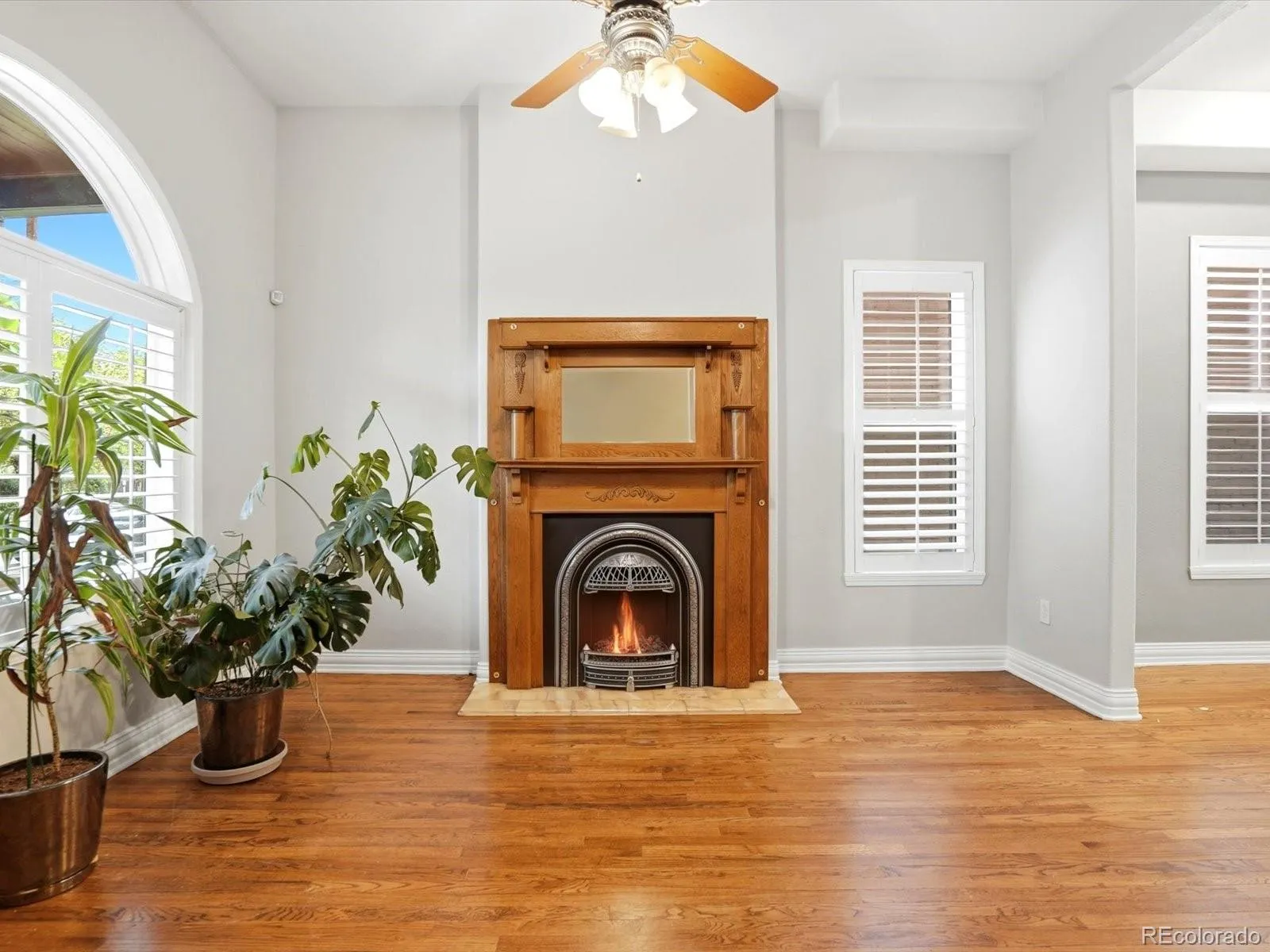 2440 Stout Street Denver CO 80205 MLS #REC3832341 05132026205425 1600 7