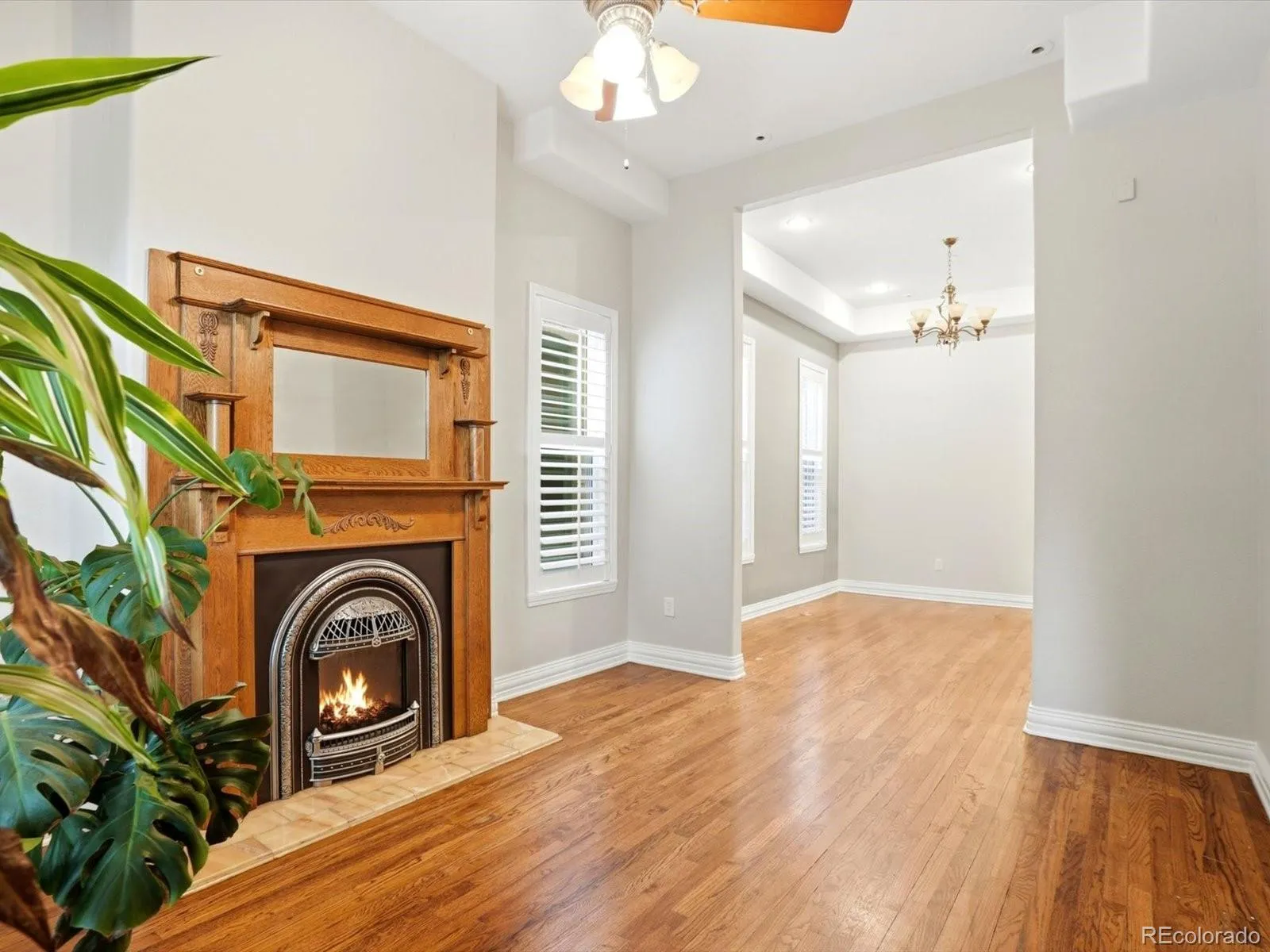 2440 Stout Street Denver CO 80205 MLS #REC3832341 05132026205425 1600 9