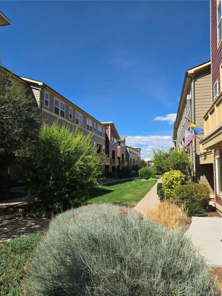 2872 Havana Street Denver CO 80238 | MLS #REC3843395 08192026005706 800 2
