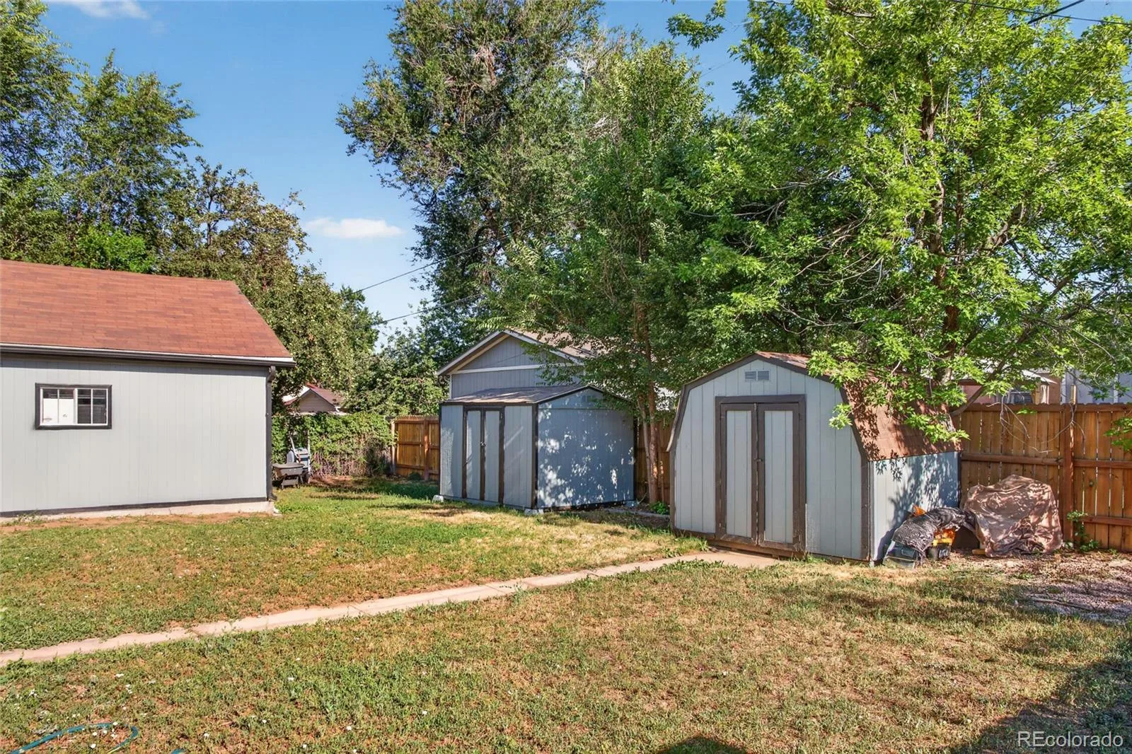 11714 Quam Drive Denver CO 80233 | MLS #REC3857595 08062026003917 1600 18