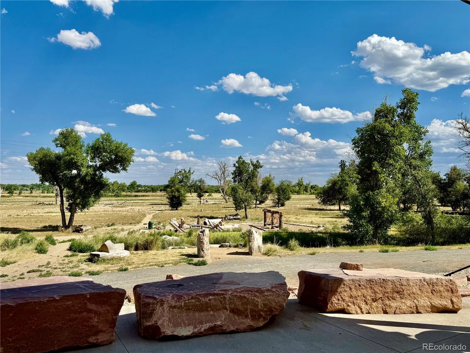 4222 E 91st Drive Thornton CO 80229 | MLS #REC3862429 07202026194100 1600 47