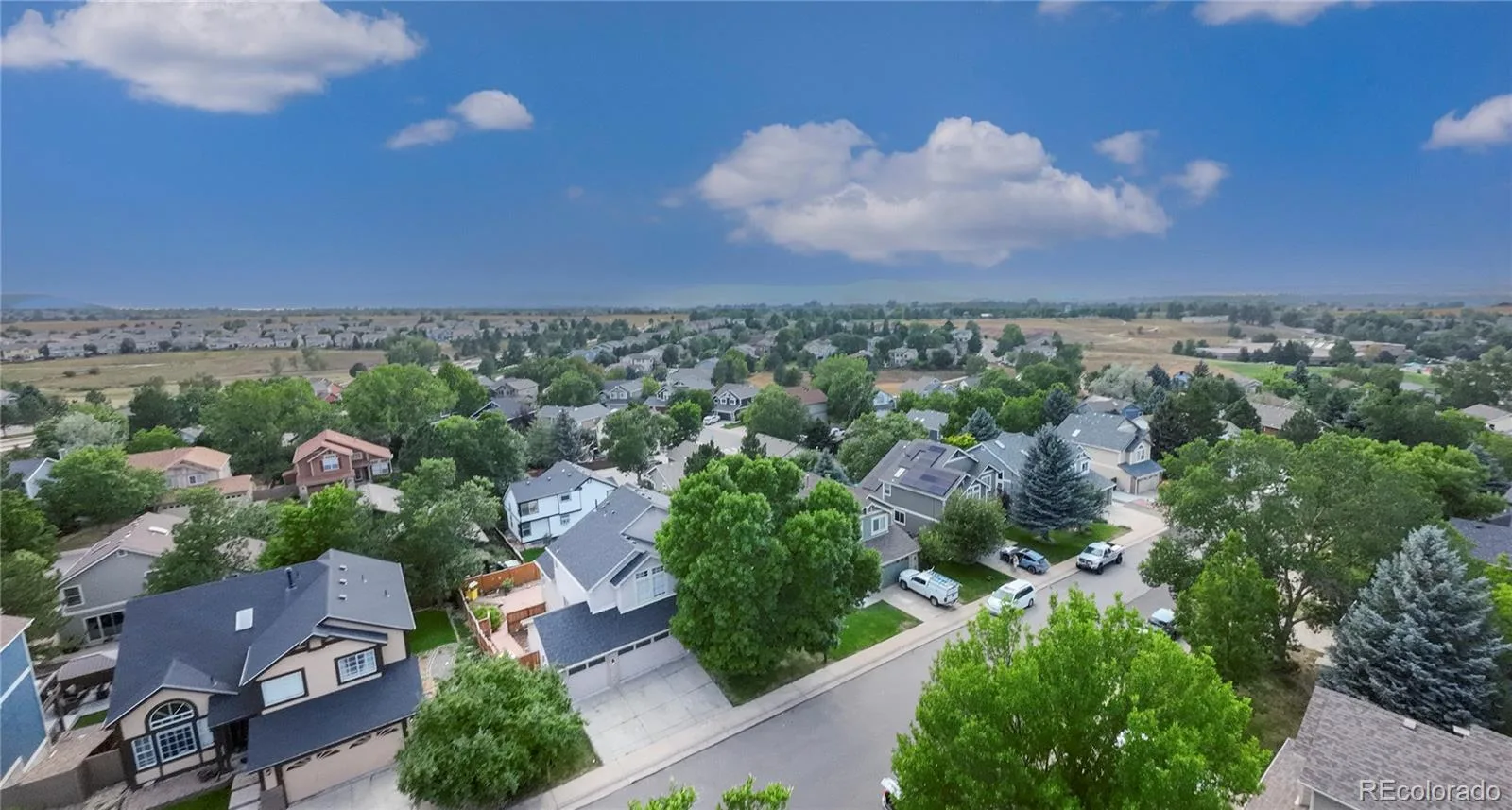 4703 N Wildflowers Way Castle Rock CO 80109 | MLS #REC3864030 08152026005810 1600 40