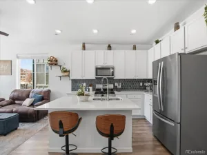 18221 French Creek Avenue Parker CO 80134 | MLS #REC3866645 08312026235003 300 0