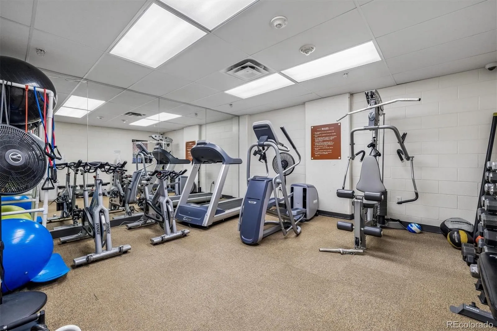 1950 N Logan Street #508 Denver CO 80203 MLS #REC3867078 04182026195447 1600 12