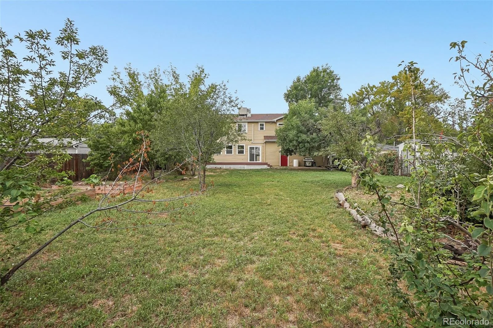 6915 W 35th Avenue Wheat Ridge CO 80033 | MLS #REC3871259 08122026160729 1600 33