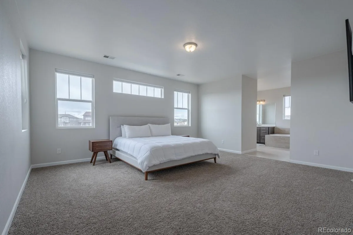 3008 Blithe Point Castle Rock CO 80108 MLS #REC3880861 07152026073516 1200 26